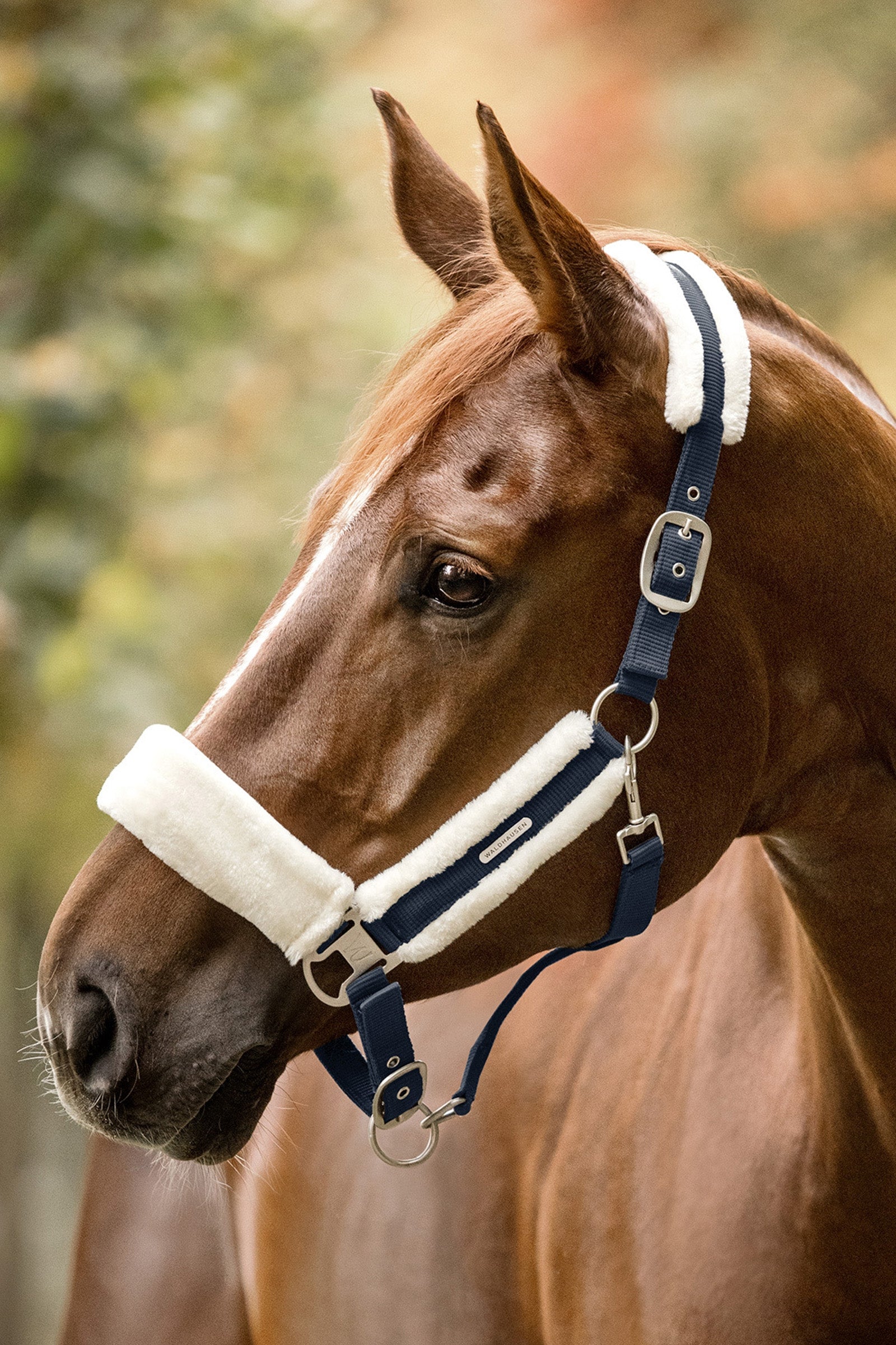 Waldhausen Soft Halter Halters & Leads