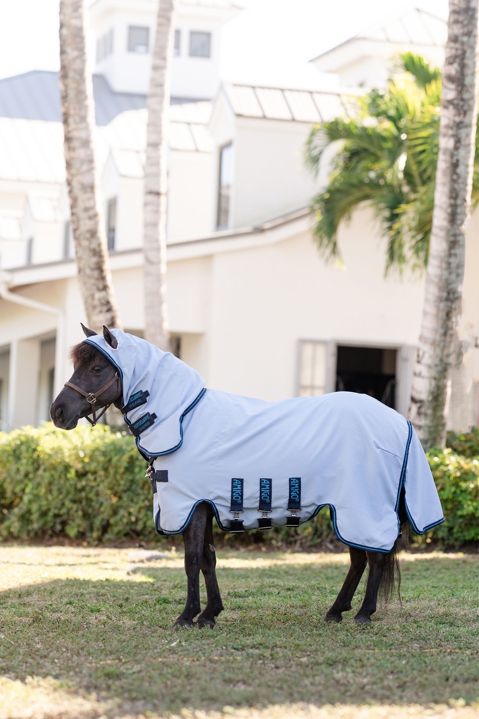 Horseware Amigo Ripstop Hoody Petite, Fliegendecke Pferdedecken
