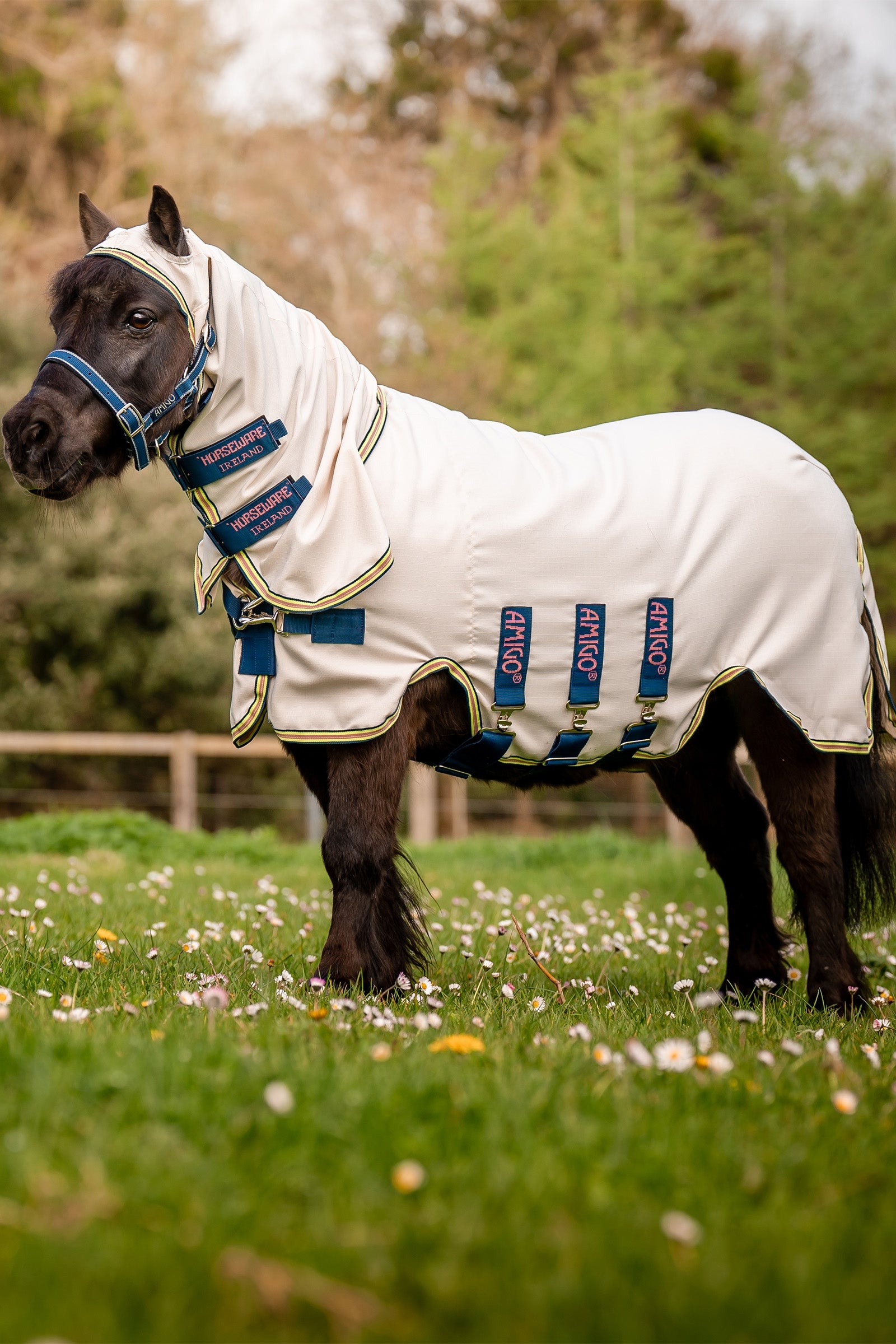 Horseware Amigo Ripstop Hoody Petite, Fliegendecke Pferdedecken