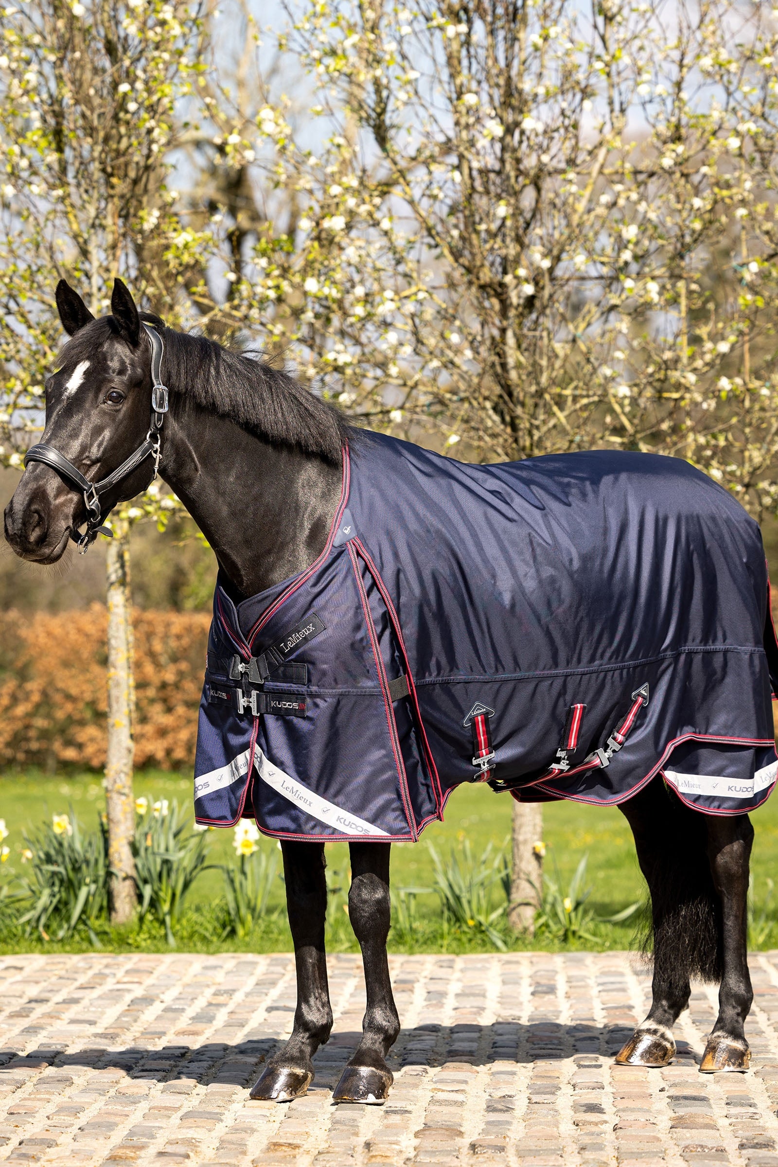 LeMieux Kudos Thermo Layer Turnout Rug 100g Horse Rugs