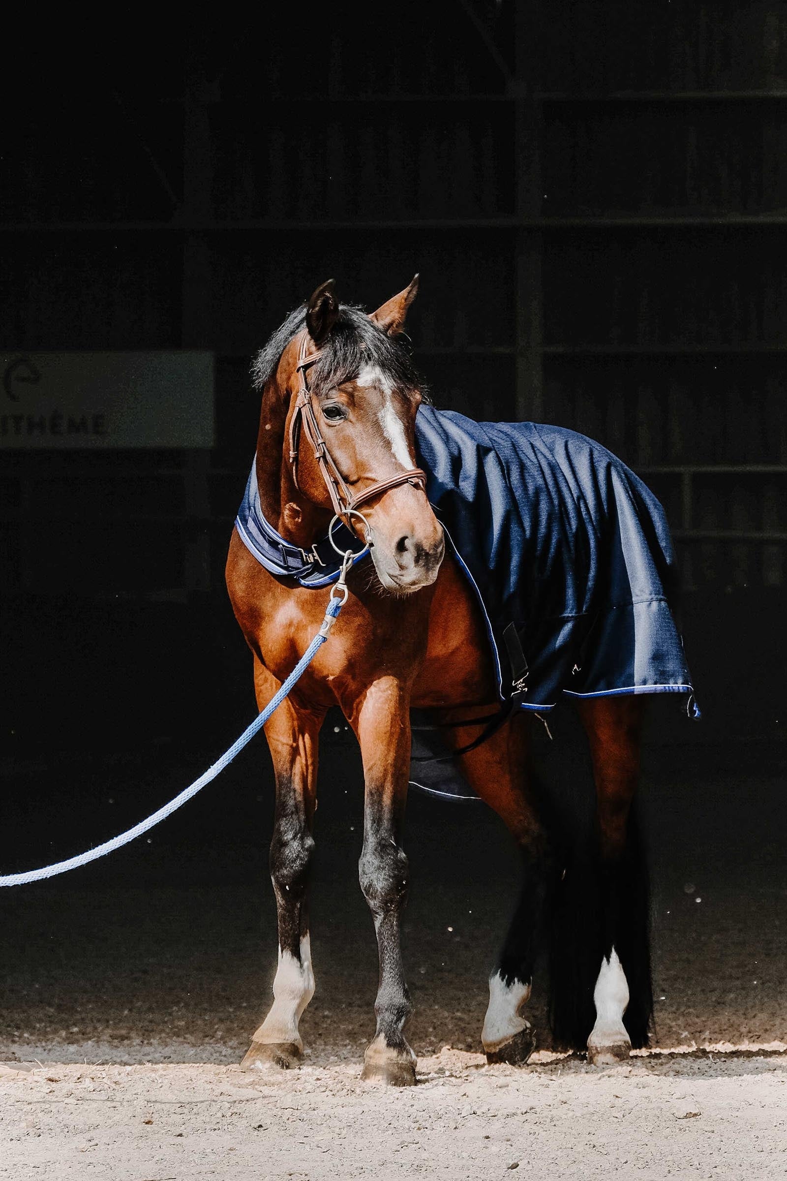 Equi Theme EQUITHÈME Classic 1200D Walker Sheet Horse Rugs