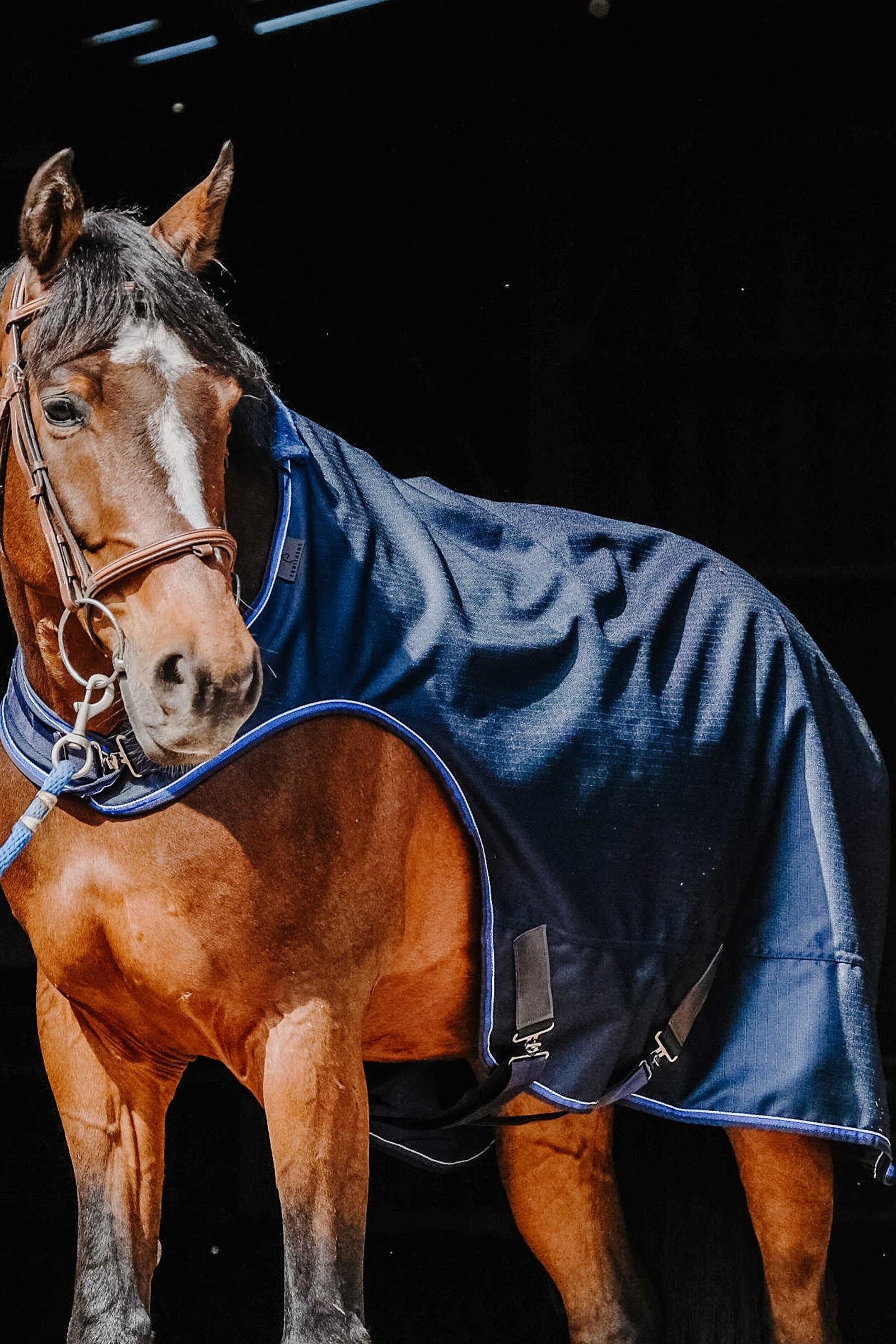 Equi Theme EQUITHÈME Classic 1200D Walker Sheet Horse Rugs