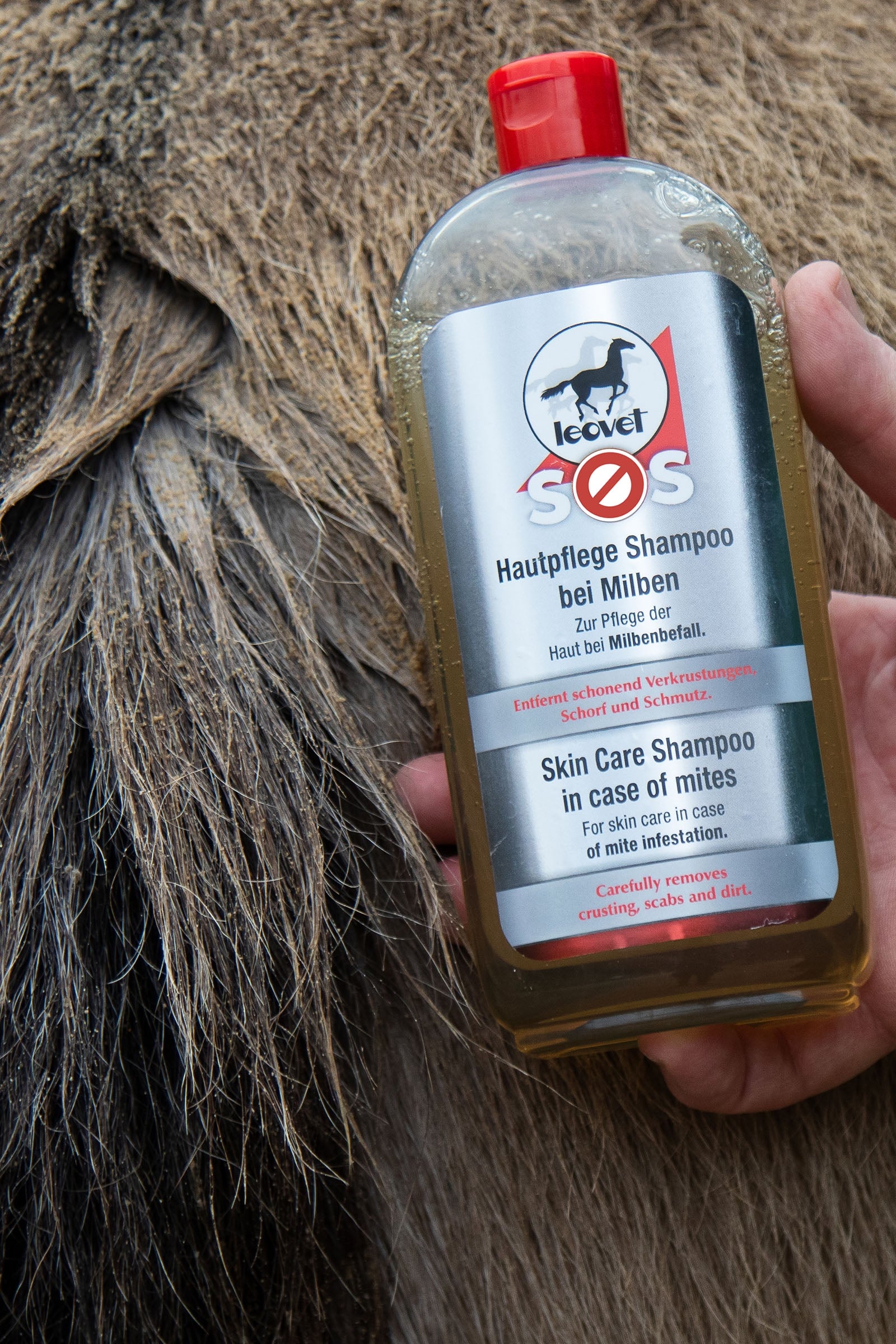 Leovet SOS Skin Care Shampoo in Case of Mites, 500ml Horse Health Care