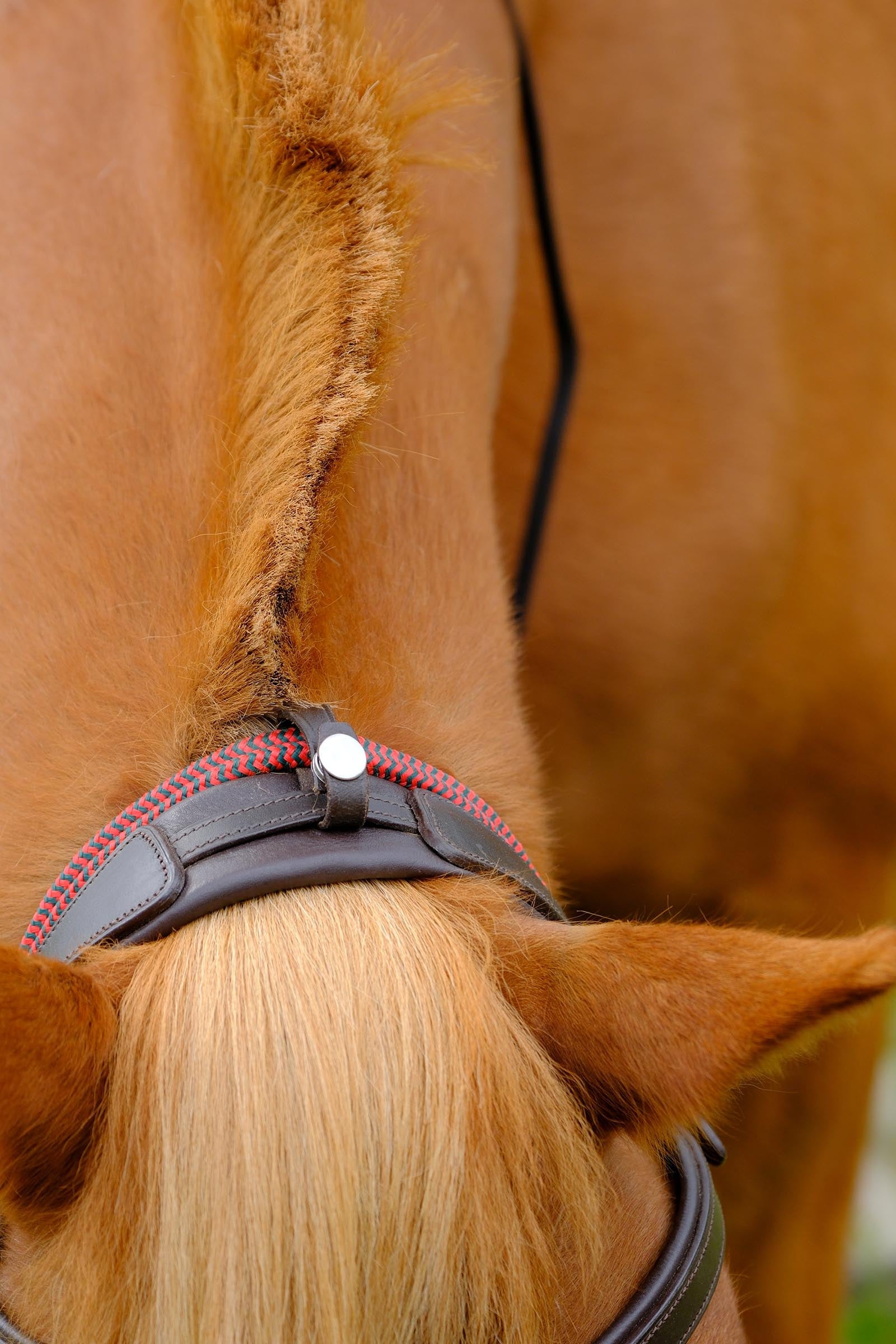 F.R.A. Freedom Riding Articles Campari Combined Bridle, Without Bit Bridles & Reins