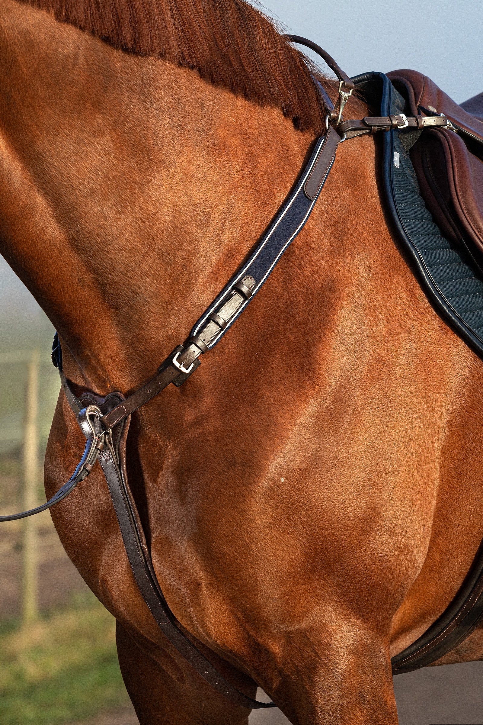 Horseware Rambo Micklem Vorderzeug Trensenzäume & Zügel
