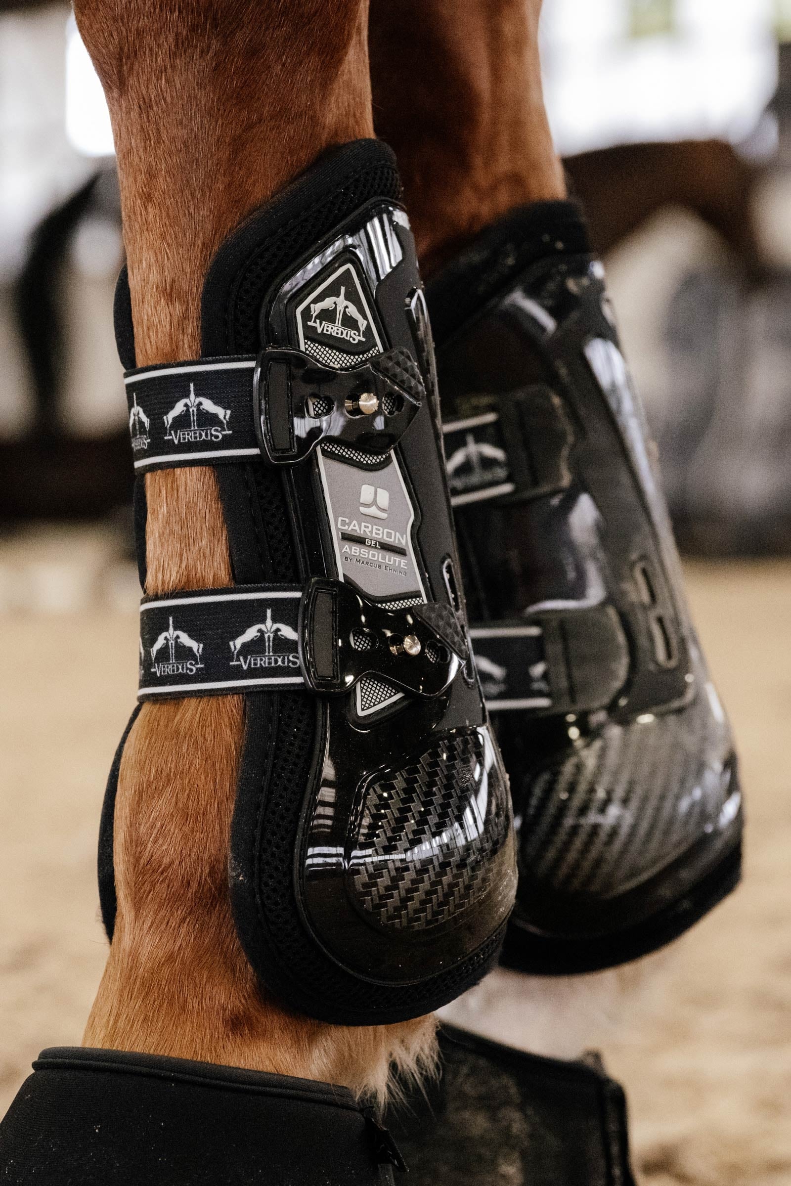 Veredus Carbon Gel Absolute Tendon Boots Leg & Hoof Protection