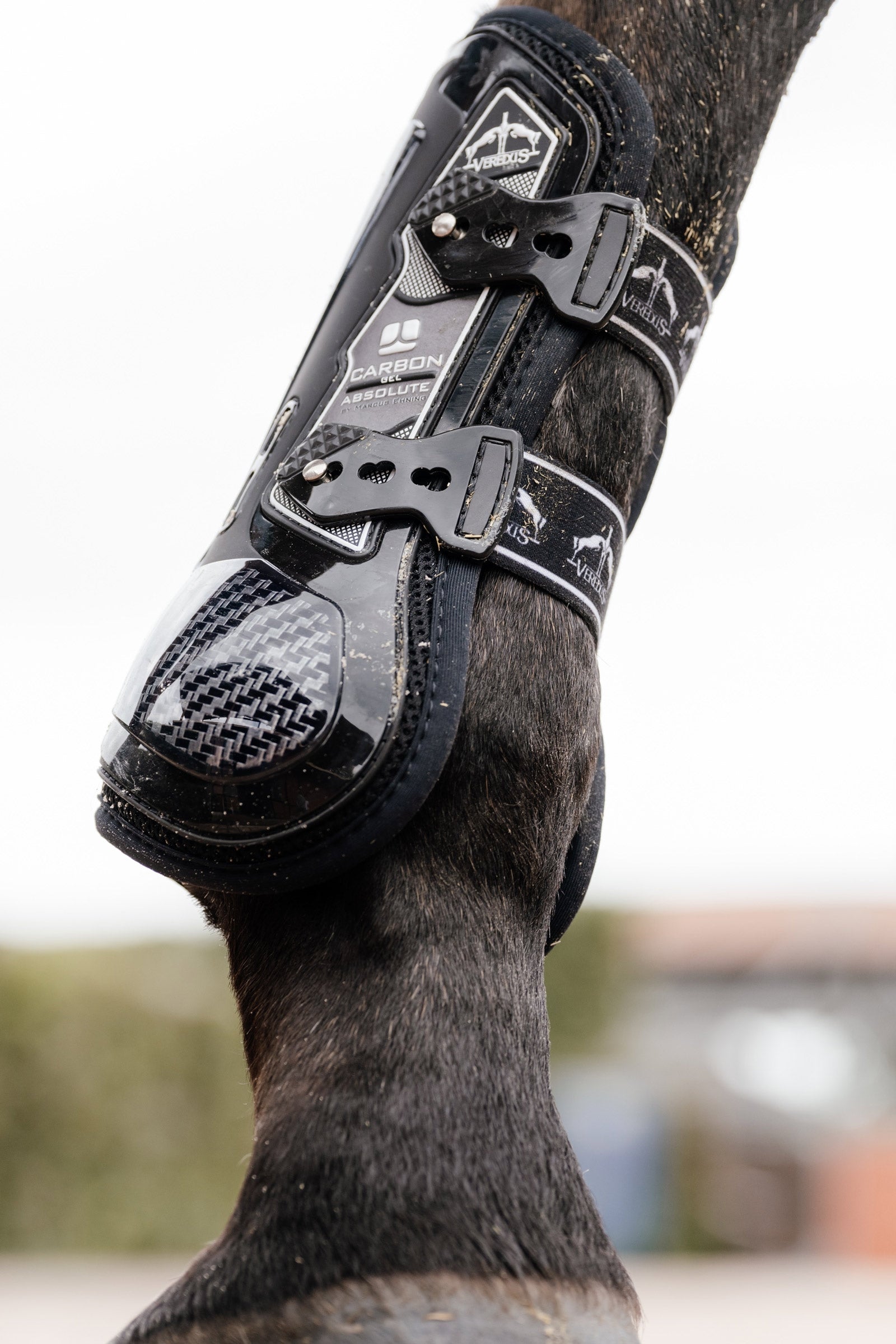 Veredus Carbon Gel Absolute Tendon Boots Leg & Hoof Protection