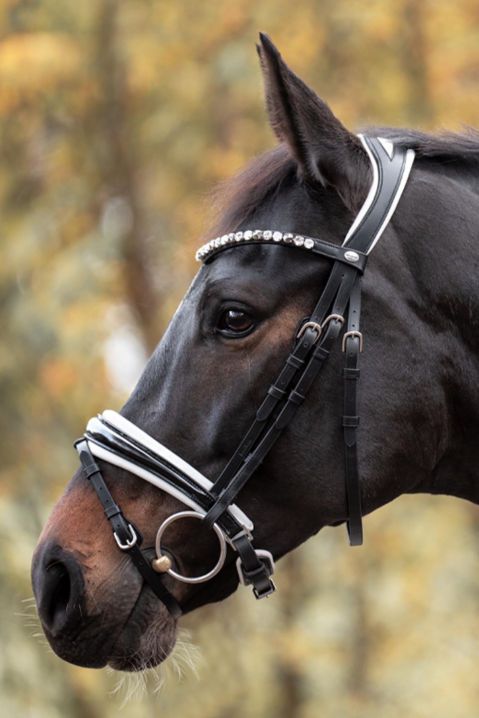 Kavalkade Zora Crank Bridle With Flash Bridles & Reins