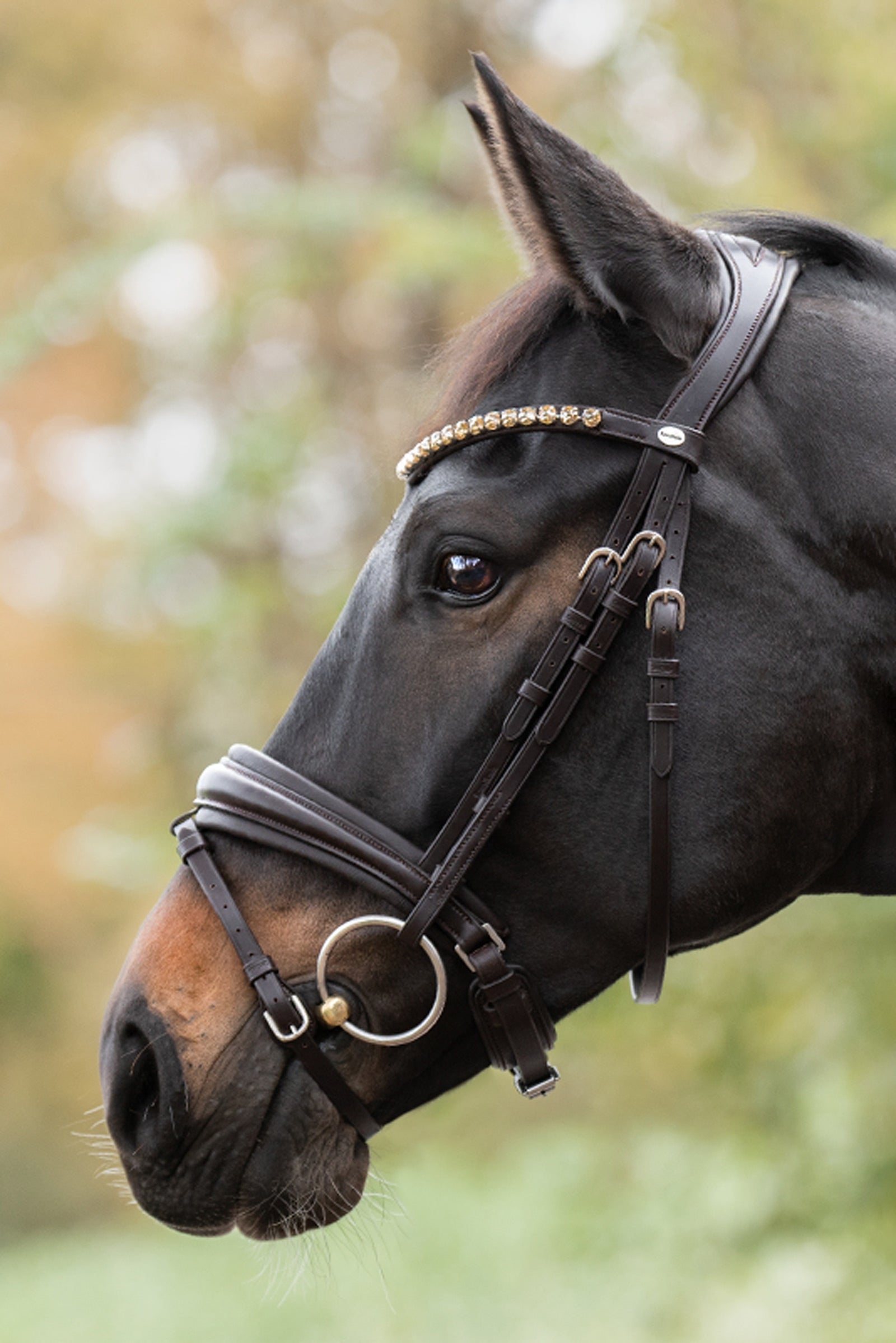 Kavalkade Zora Crank Bridle With Flash Bridles & Reins
