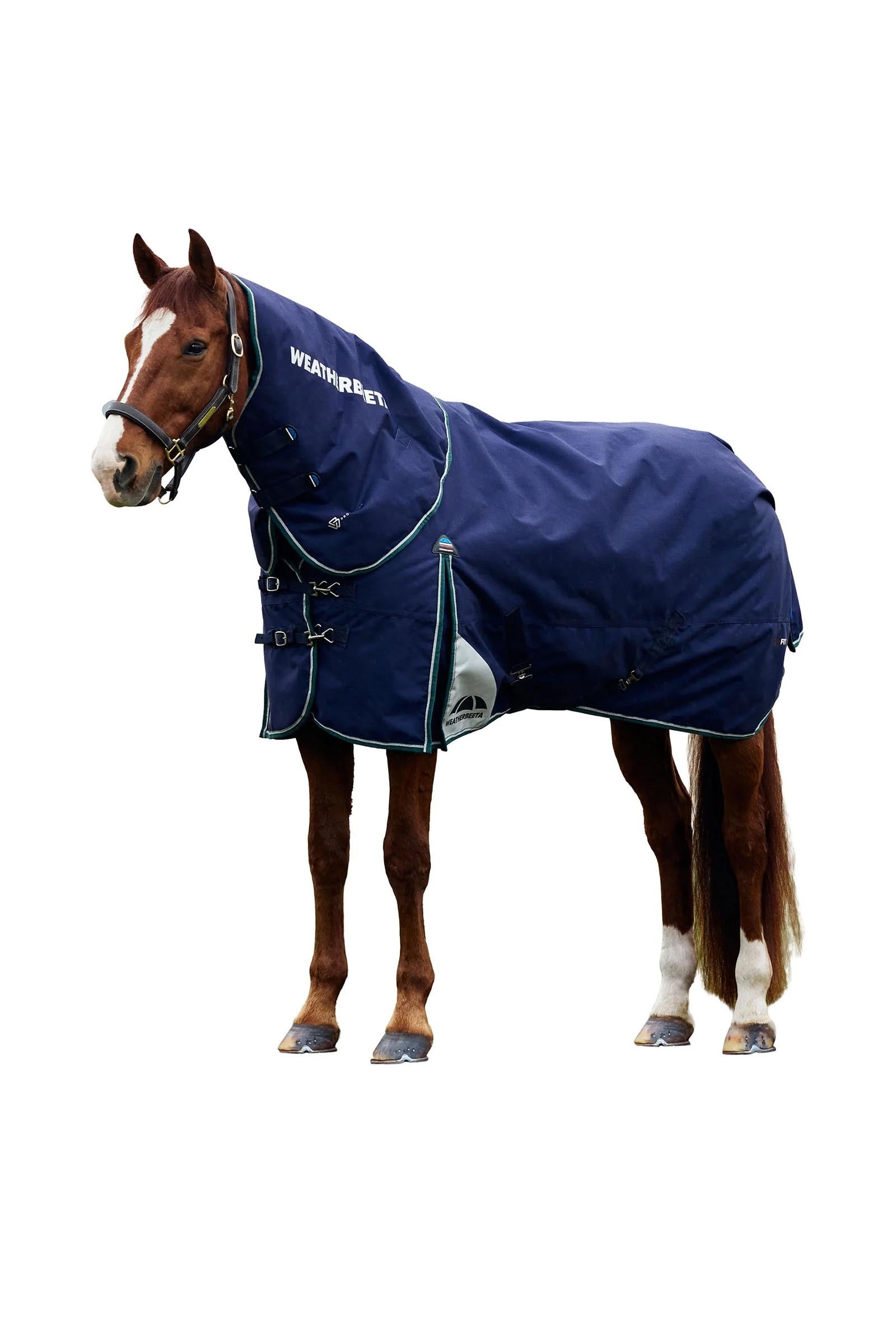 Weatherbeeta Comfitec Plus Dynamic Turnout Rug Detach-A-Neck 360g Horse Rugs