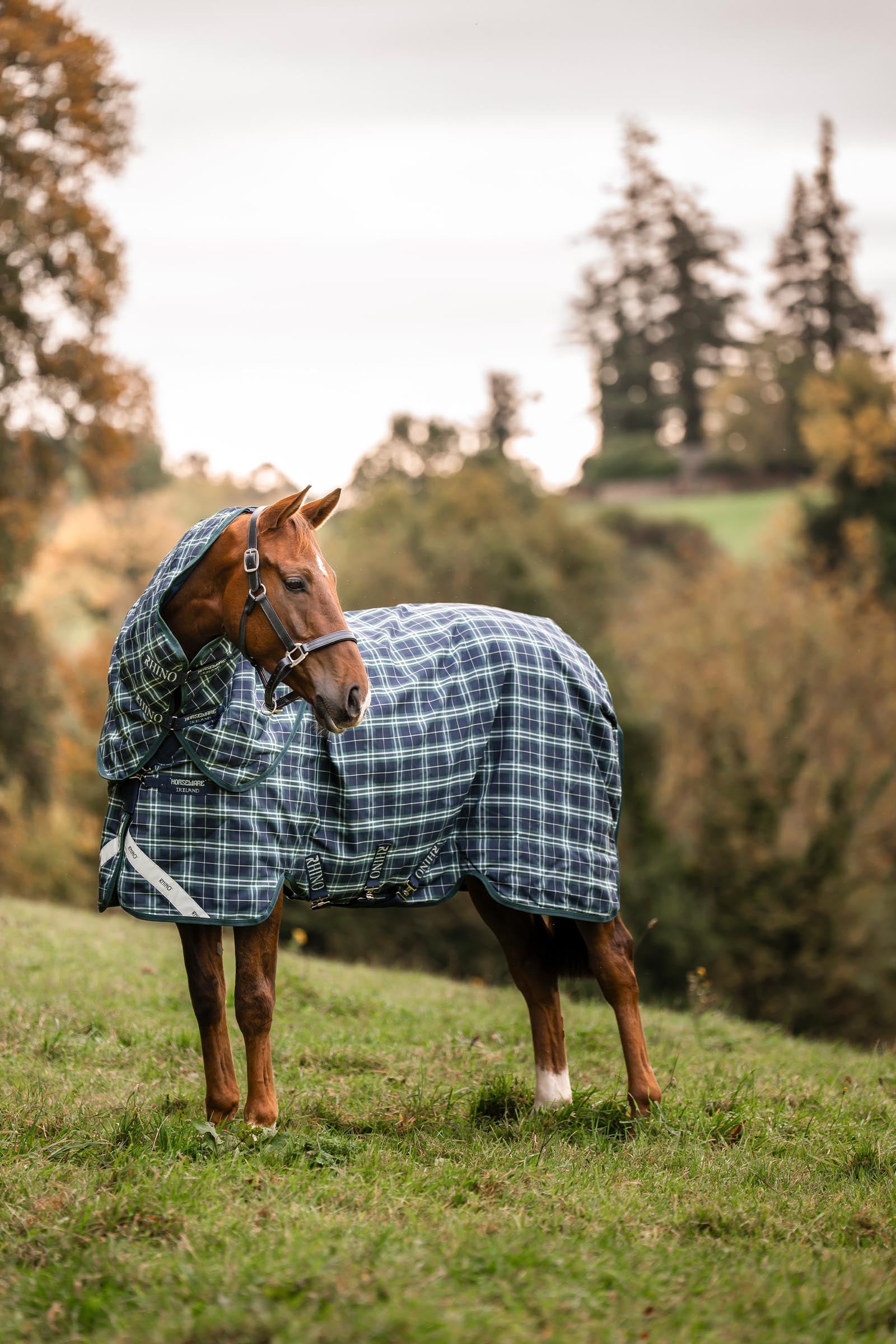 Horseware Rhino Plus Turnout Lite incl. detachable neck, 100g Horse Rugs