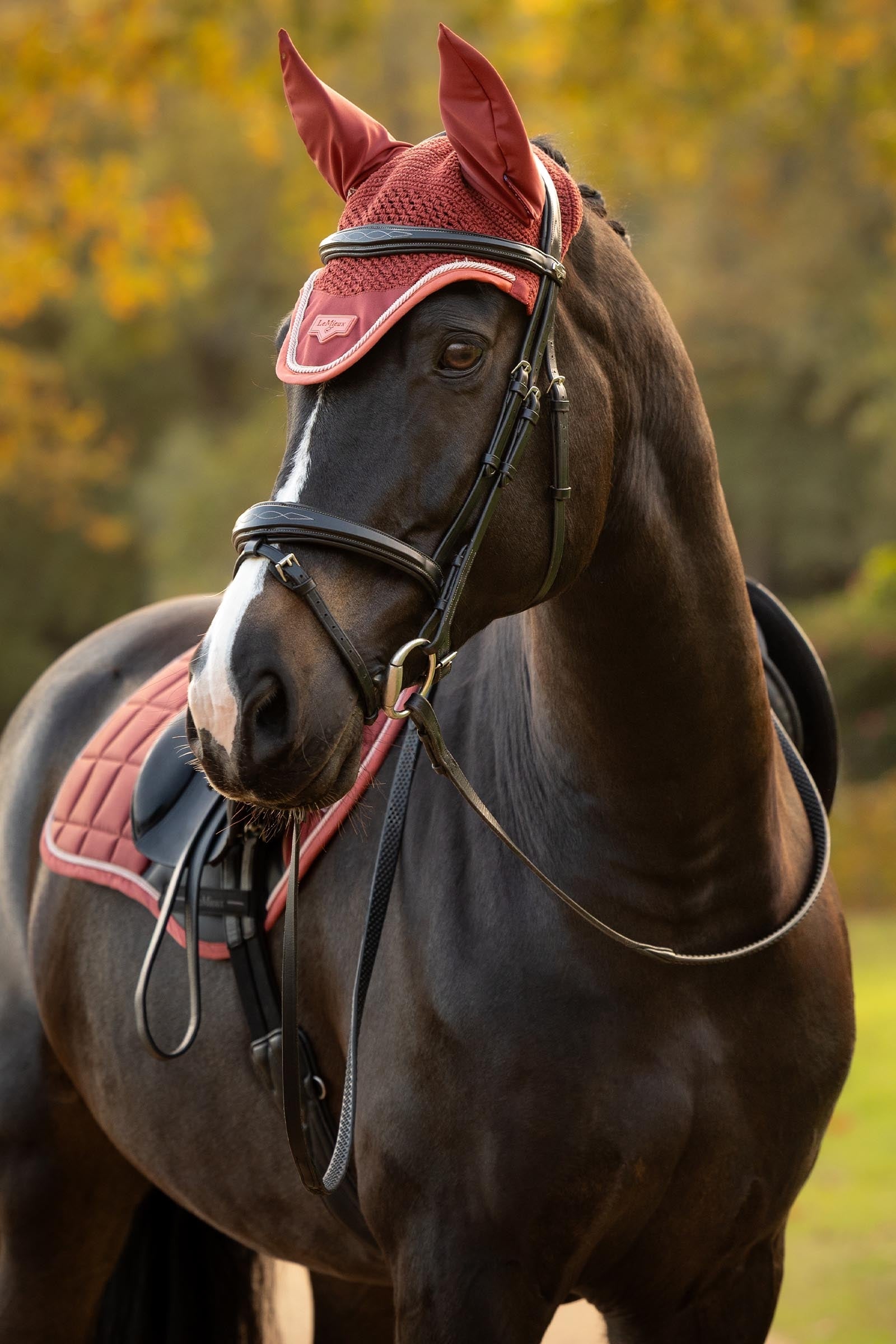 LeMieux Loire Fly Hood Saddle Pads