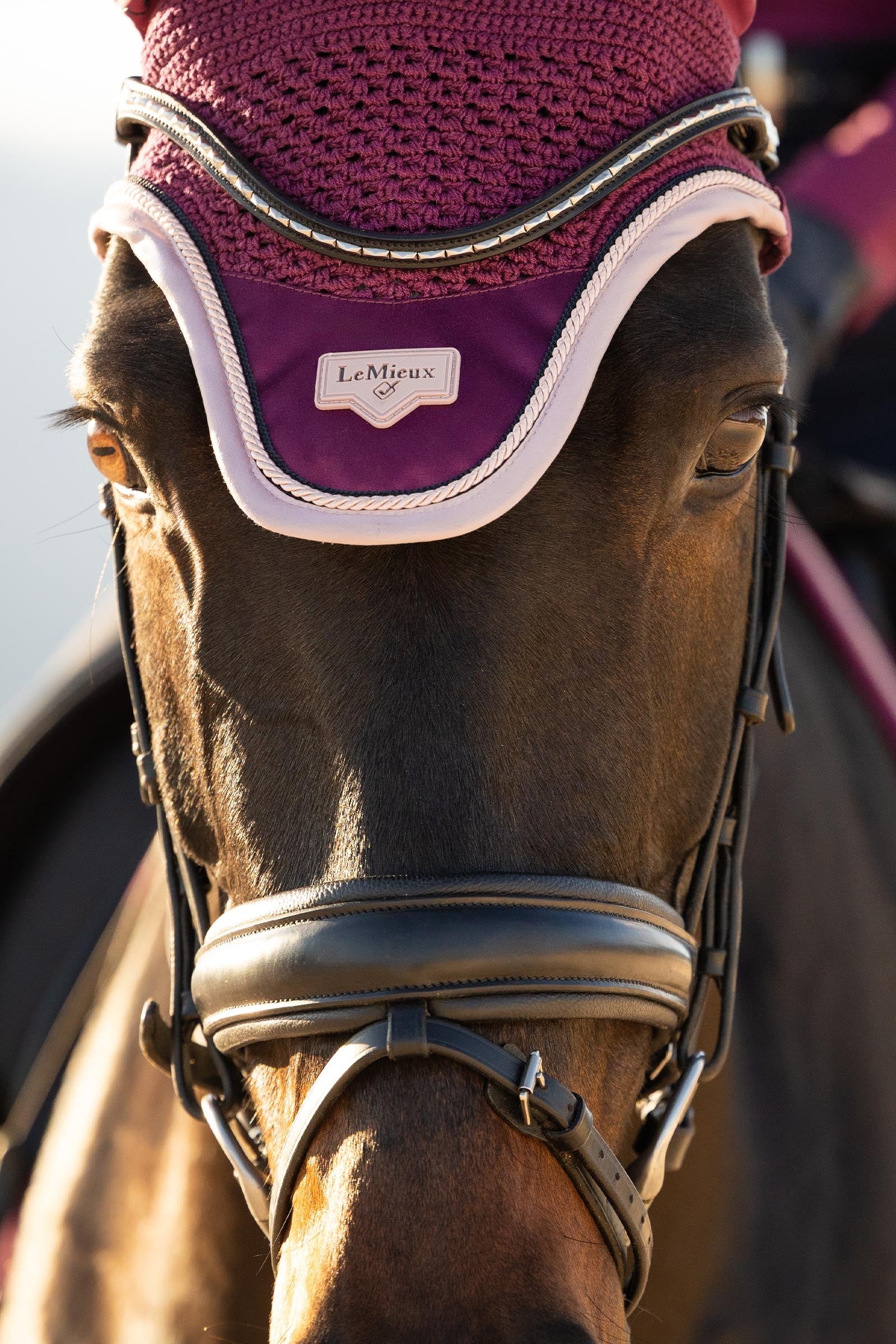LeMieux Loire Fly Hood Saddle Pads