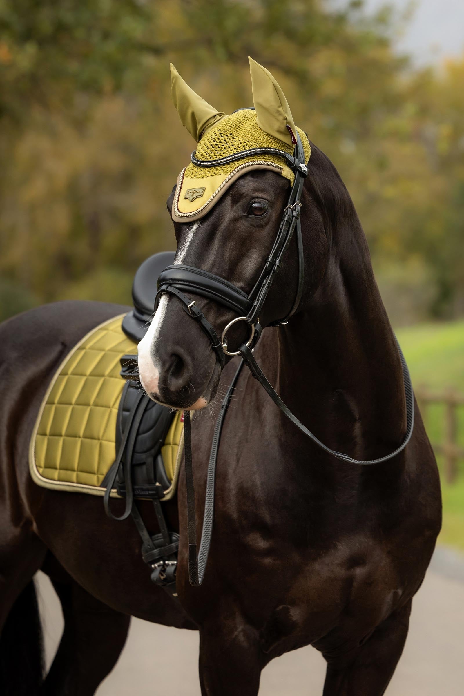 LeMieux Loire Fly Hood Saddle Pads