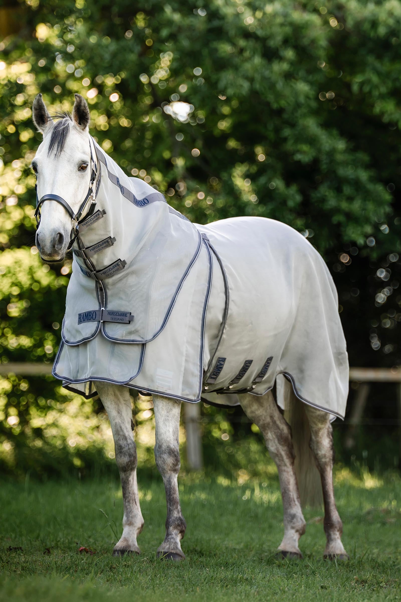 Horseware Rambo Optimo Protector Plus Weidedecke Pferdedecken
