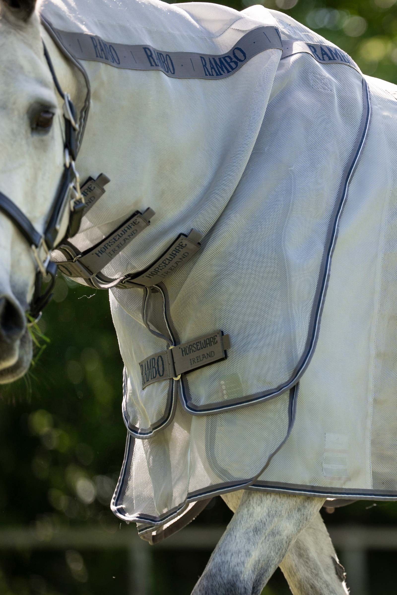 Horseware Rambo Optimo Protector Plus Rug Horse Rugs