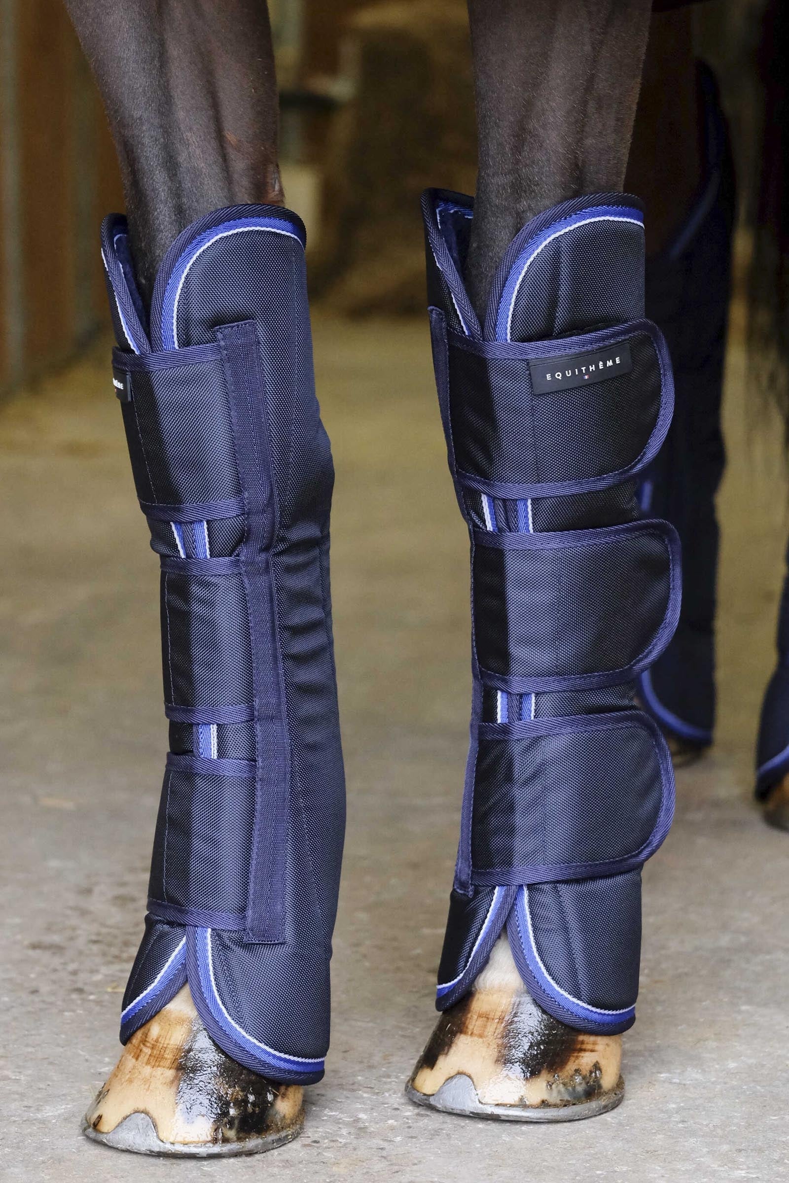 Equi Theme EQUITHÈME TYREX 1680D Transport Boots Leg & Hoof Protection