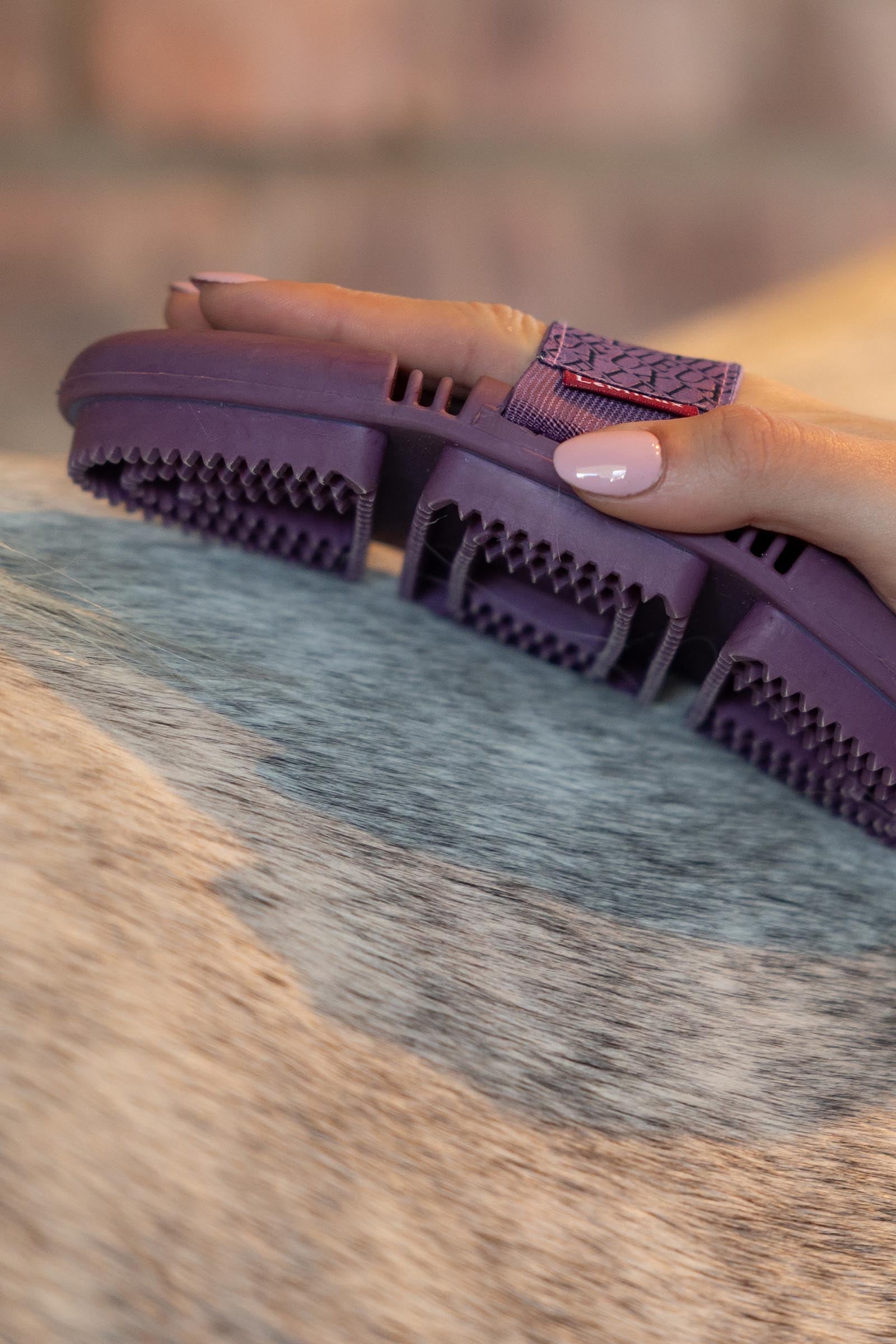 LeMieux Flexi Curry Comb Horse Grooming Tools