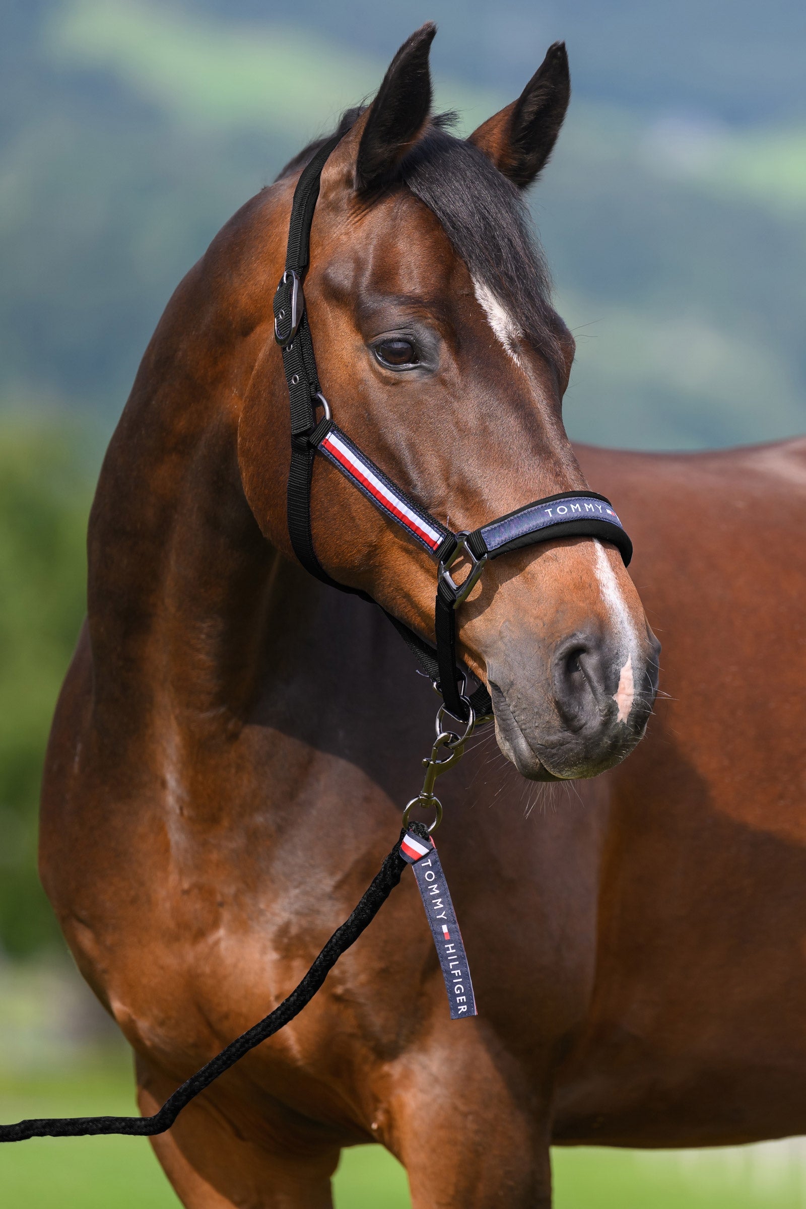 Tommy Hilfiger Equestrian Yale Halfter- und Führstrick-Set Halfter & Stricke