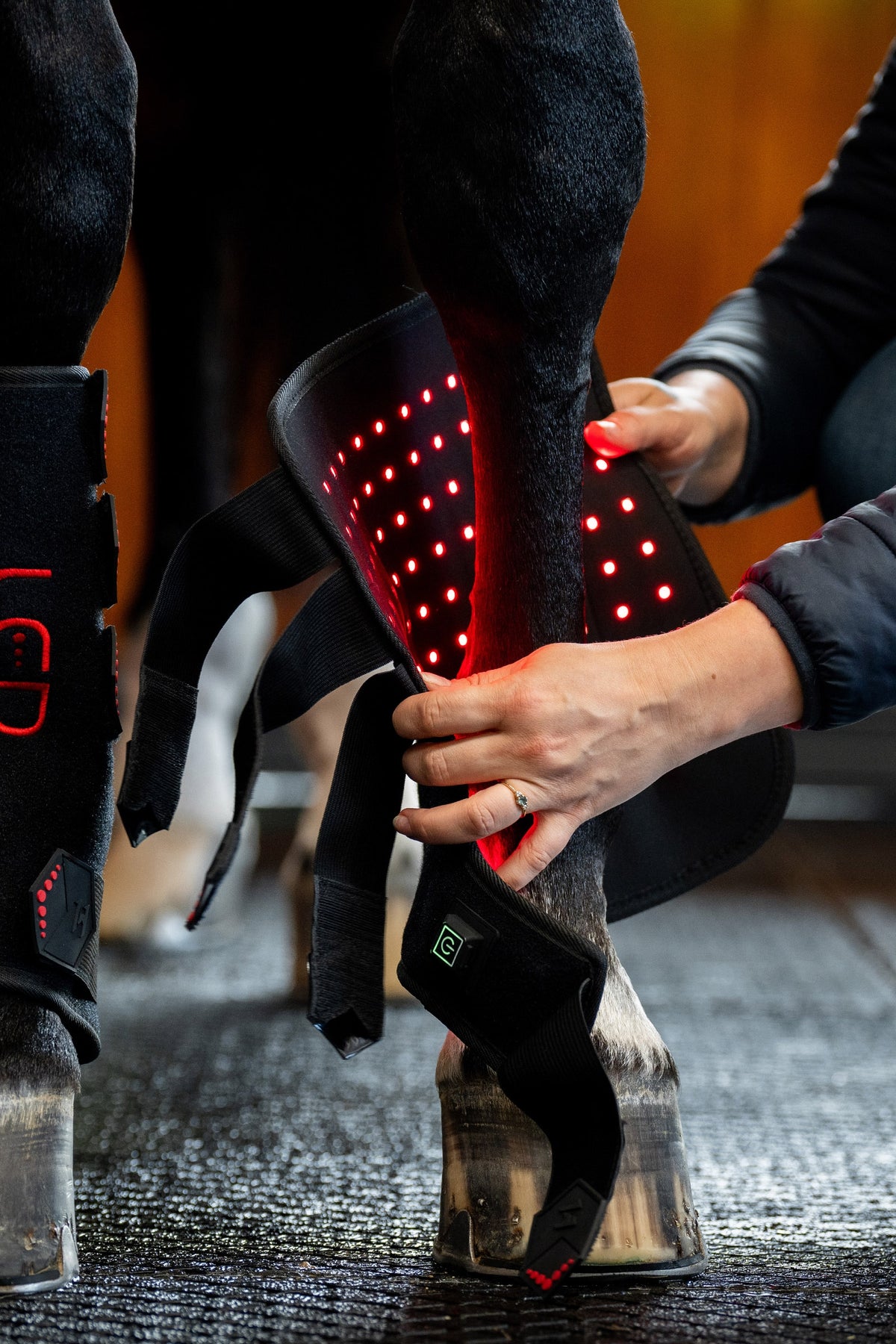 Horseware LED Red Light Therapy Leg Wraps Leg & Hoof Protection