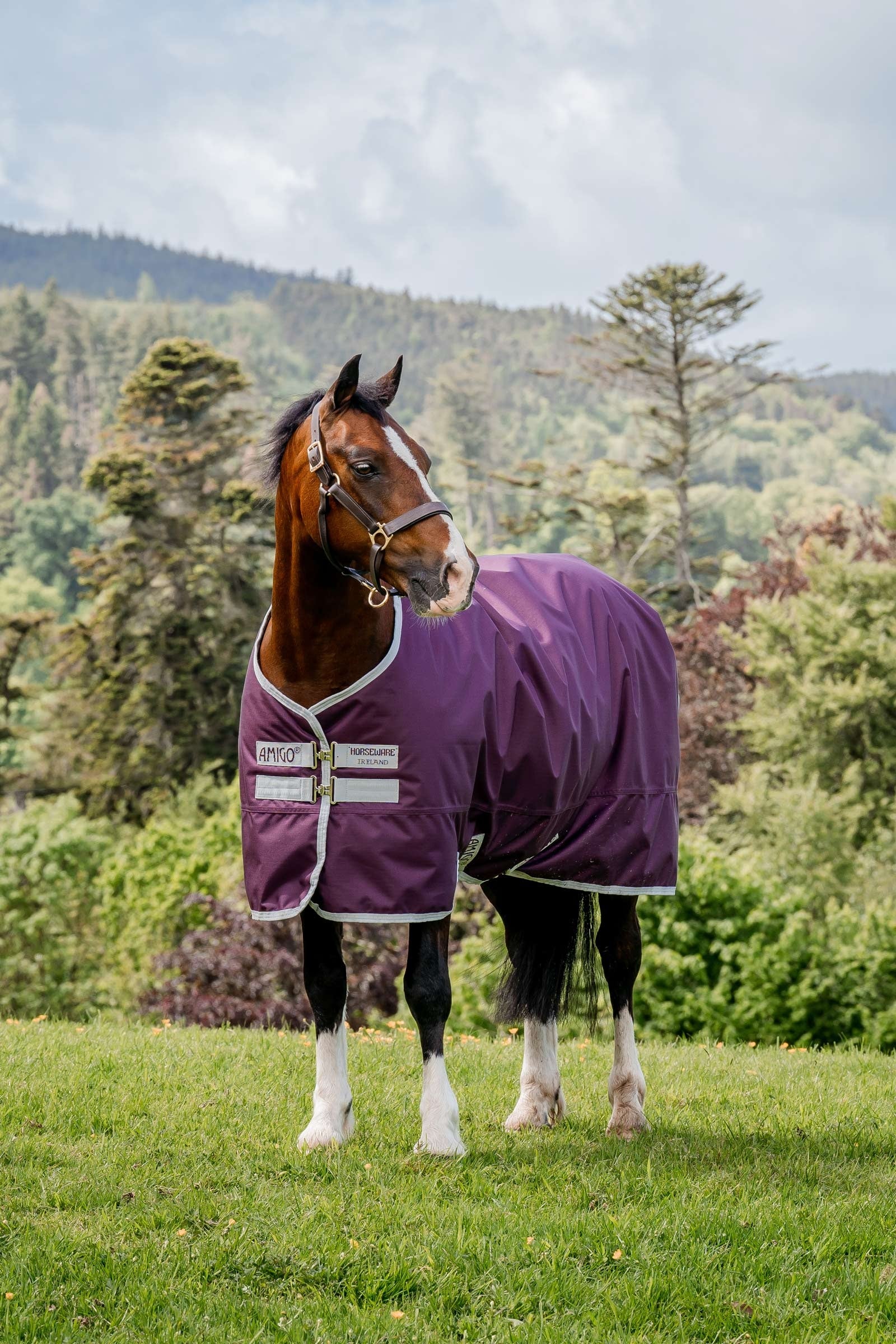 Horseware Amigo Hero Ripstop Weidedecke, 50g Pferdedecken