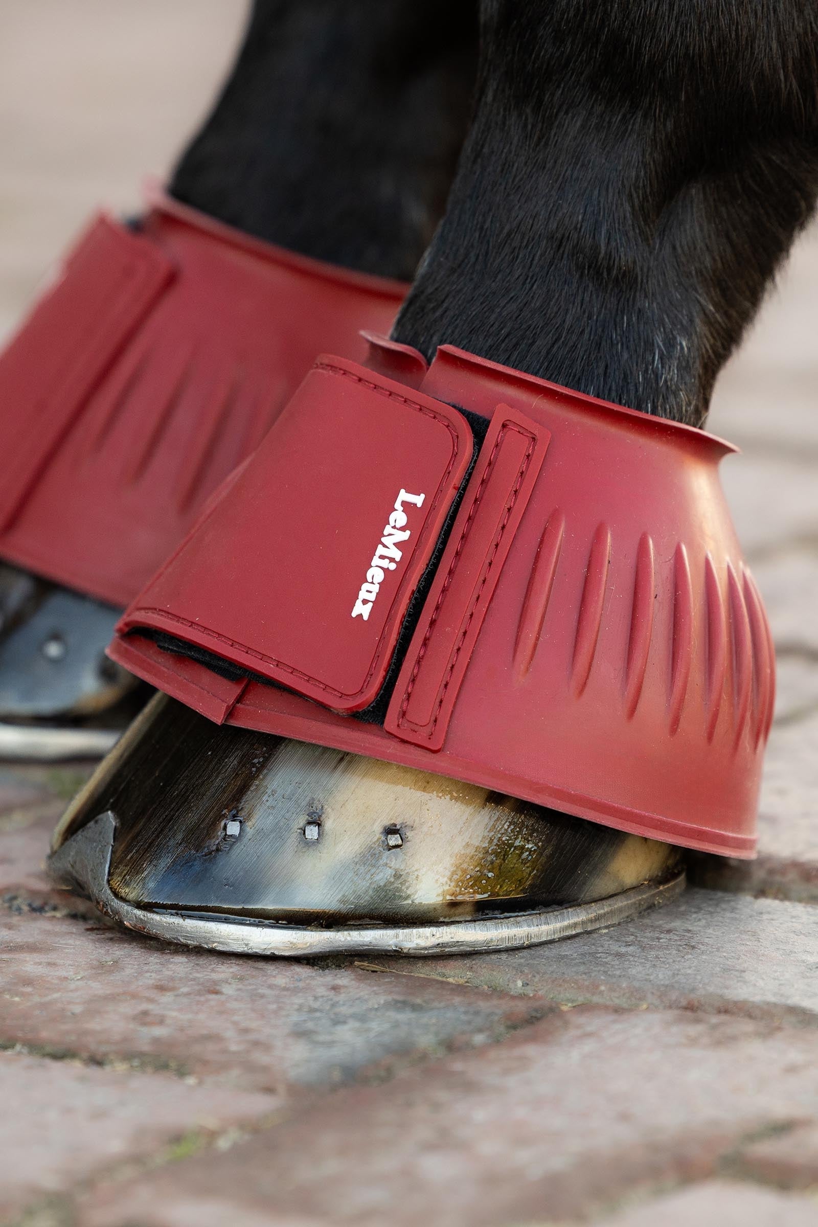 LeMieux Rubber Bell Boots Leg & Hoof Protection