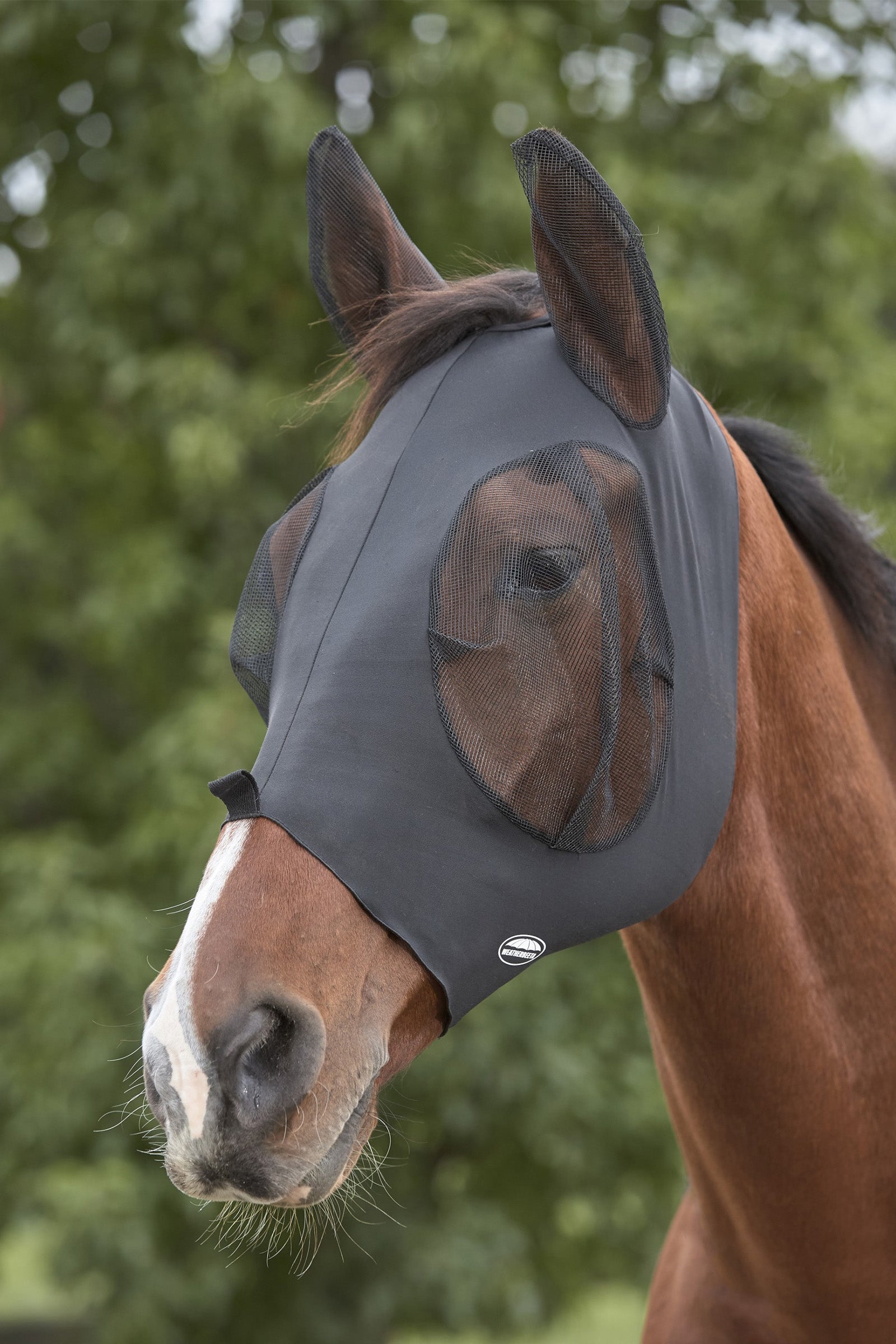 Weatherbeeta Deluxe Stretch Bug Fliegenmaske mit Ohren Fliegenschutz