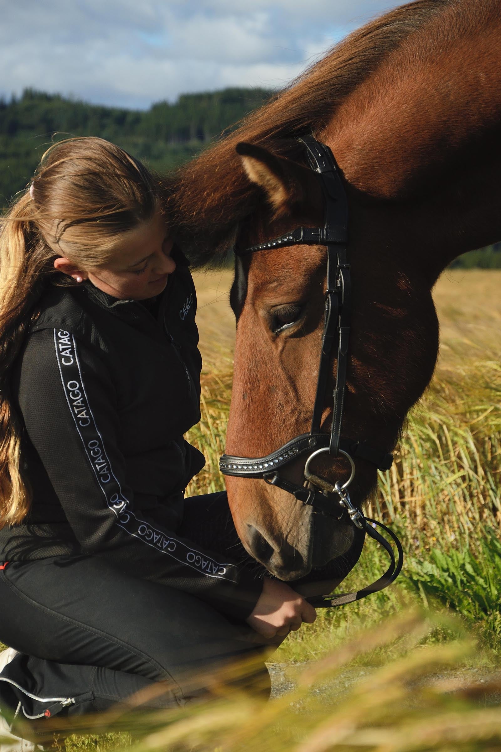 Catago Raja Icelandic Bridle Bridles & Reins