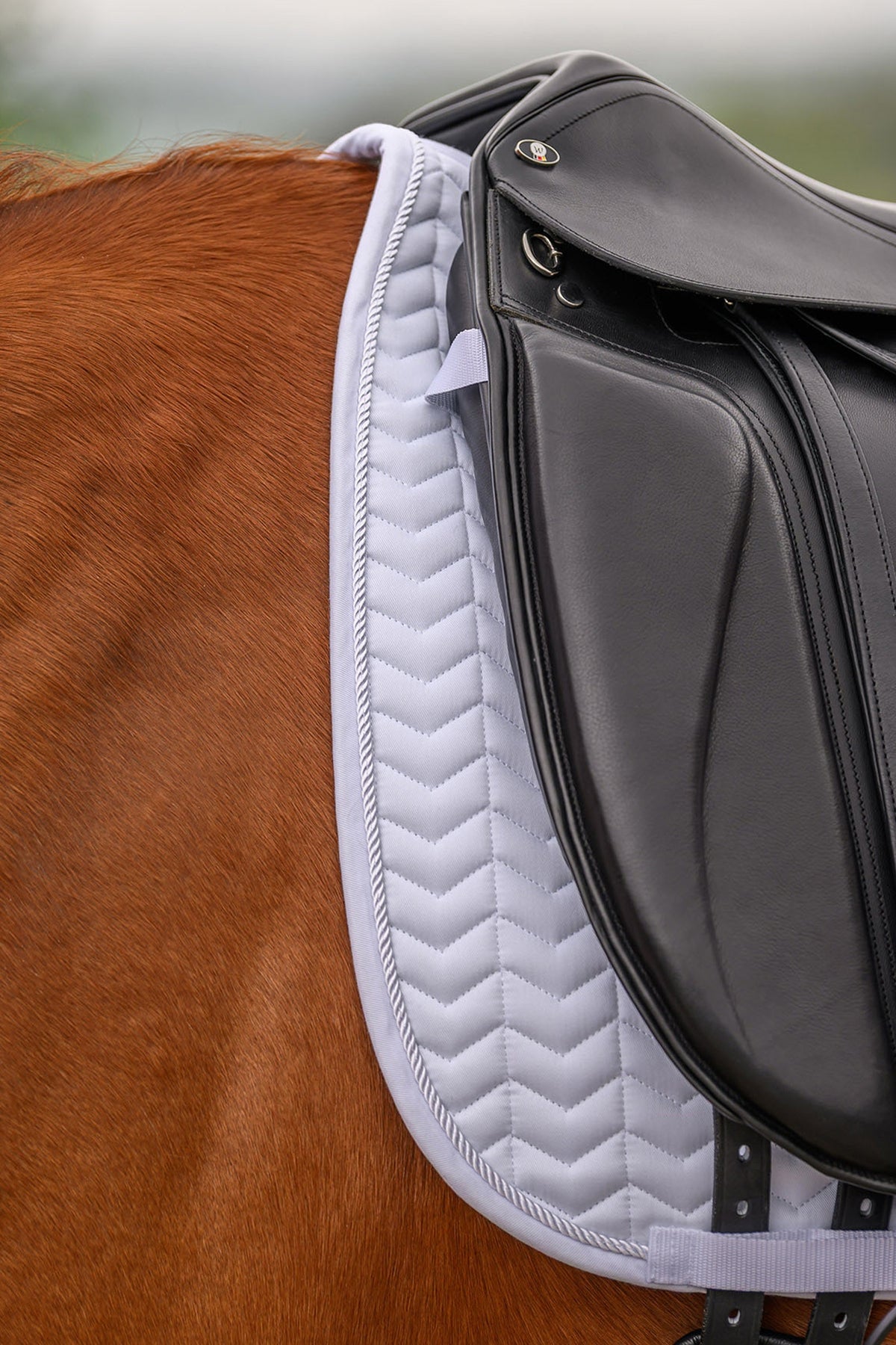 Waldhausen Classic Dressage Saddle Pad Saddle Pads