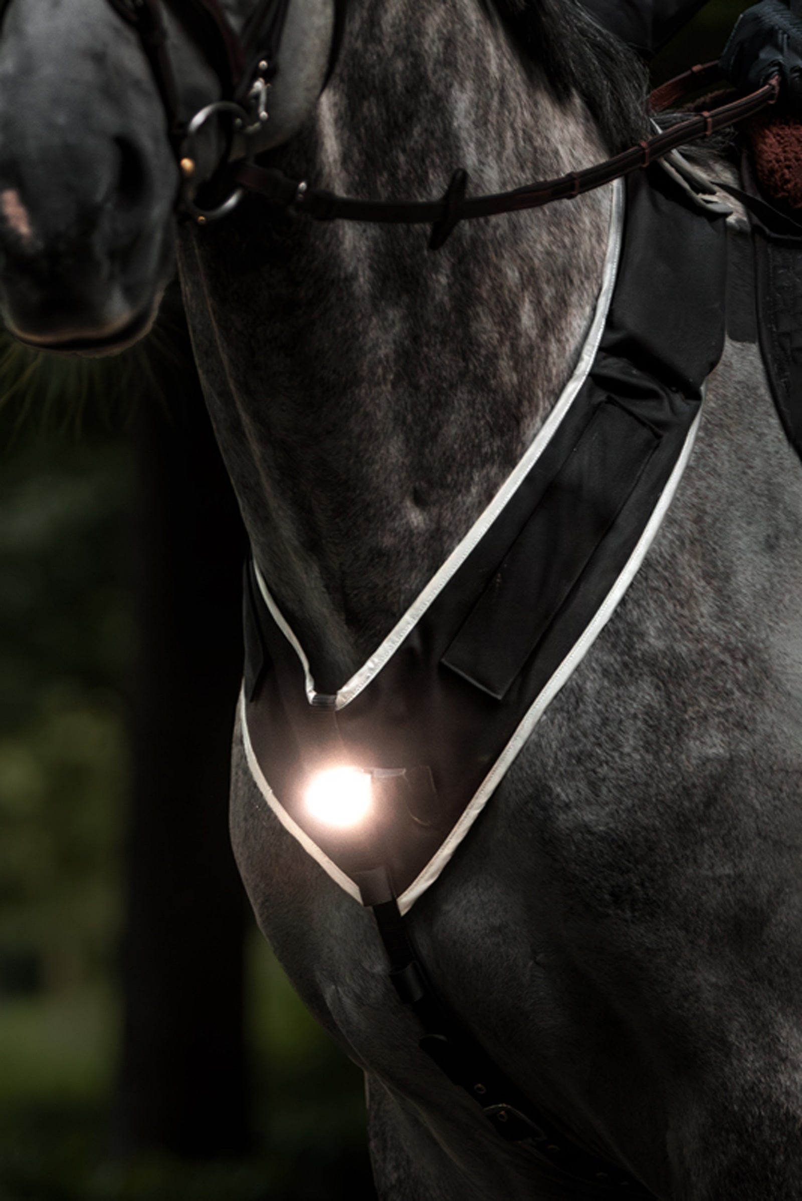 Kavalkade Horselight Breastplate With White Front Light Reflective