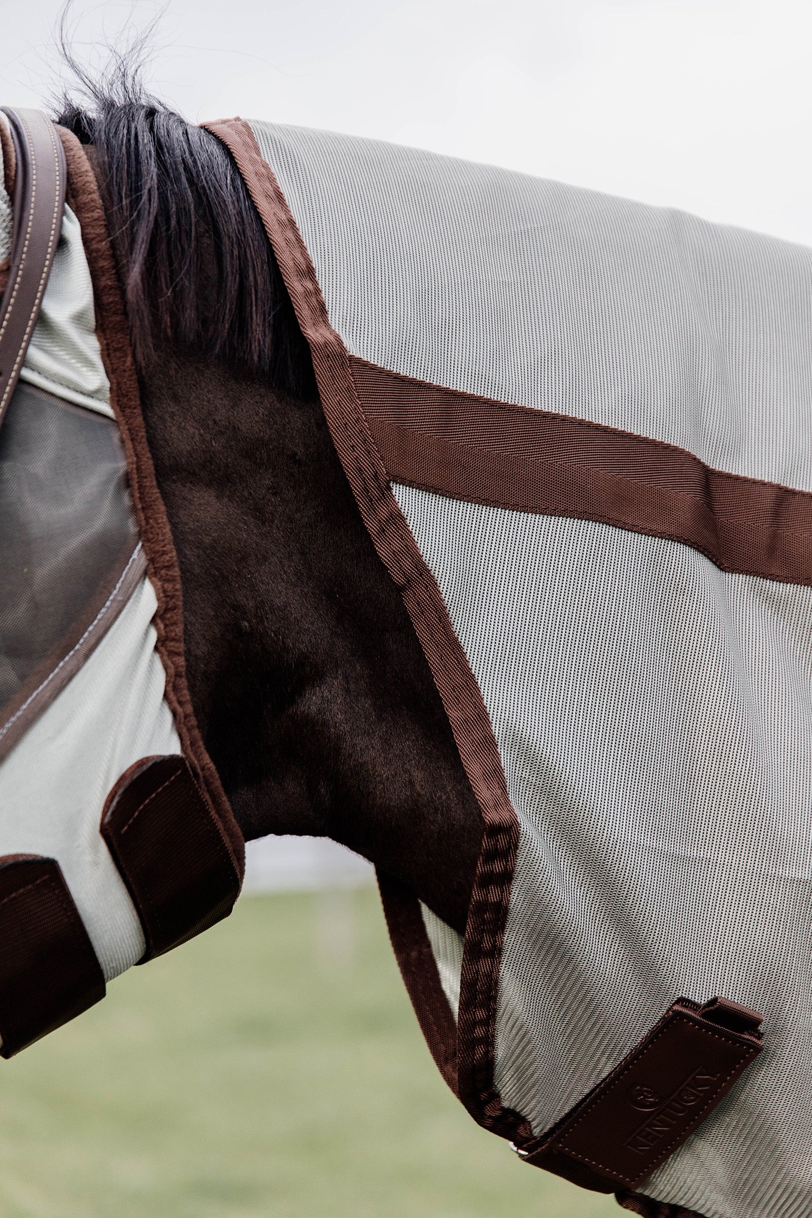 Kentucky Horsewear Classic Mesh Fly Rug Horse Rugs