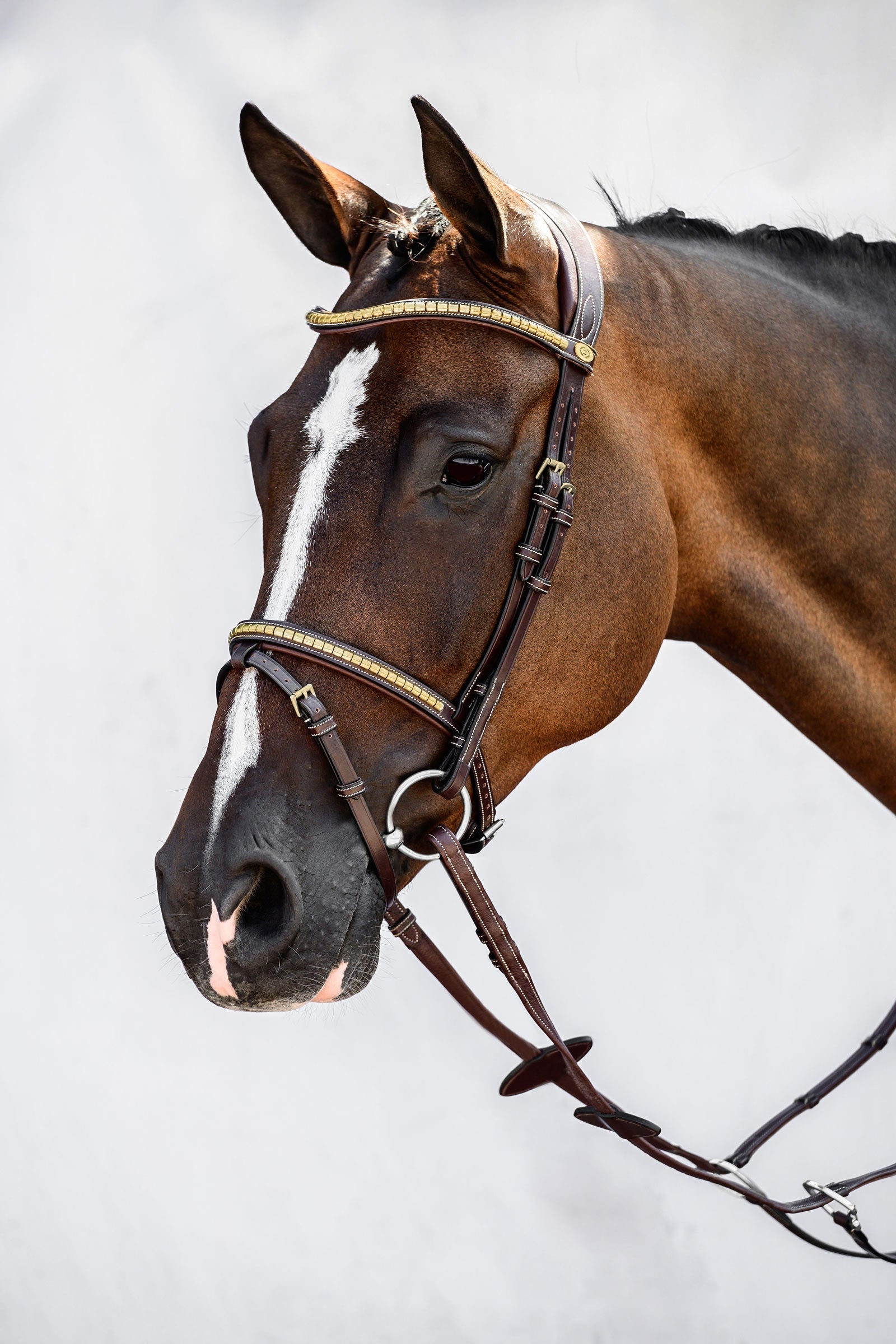 PS of Sweden Antwerp 2.0 Bridle Trensenzäume & Zügel