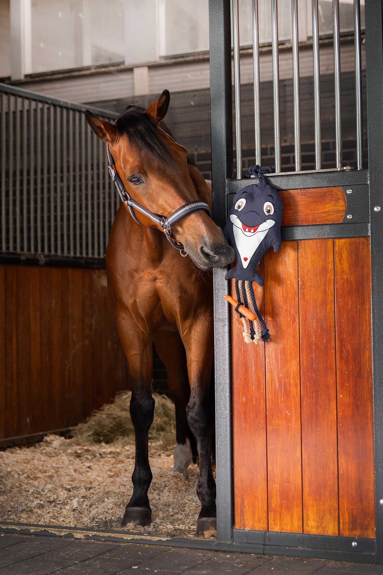 Eskadron Classic Sport SS26 Dolphin Horse Toy Horse Toys & Riding Arena Supplies
