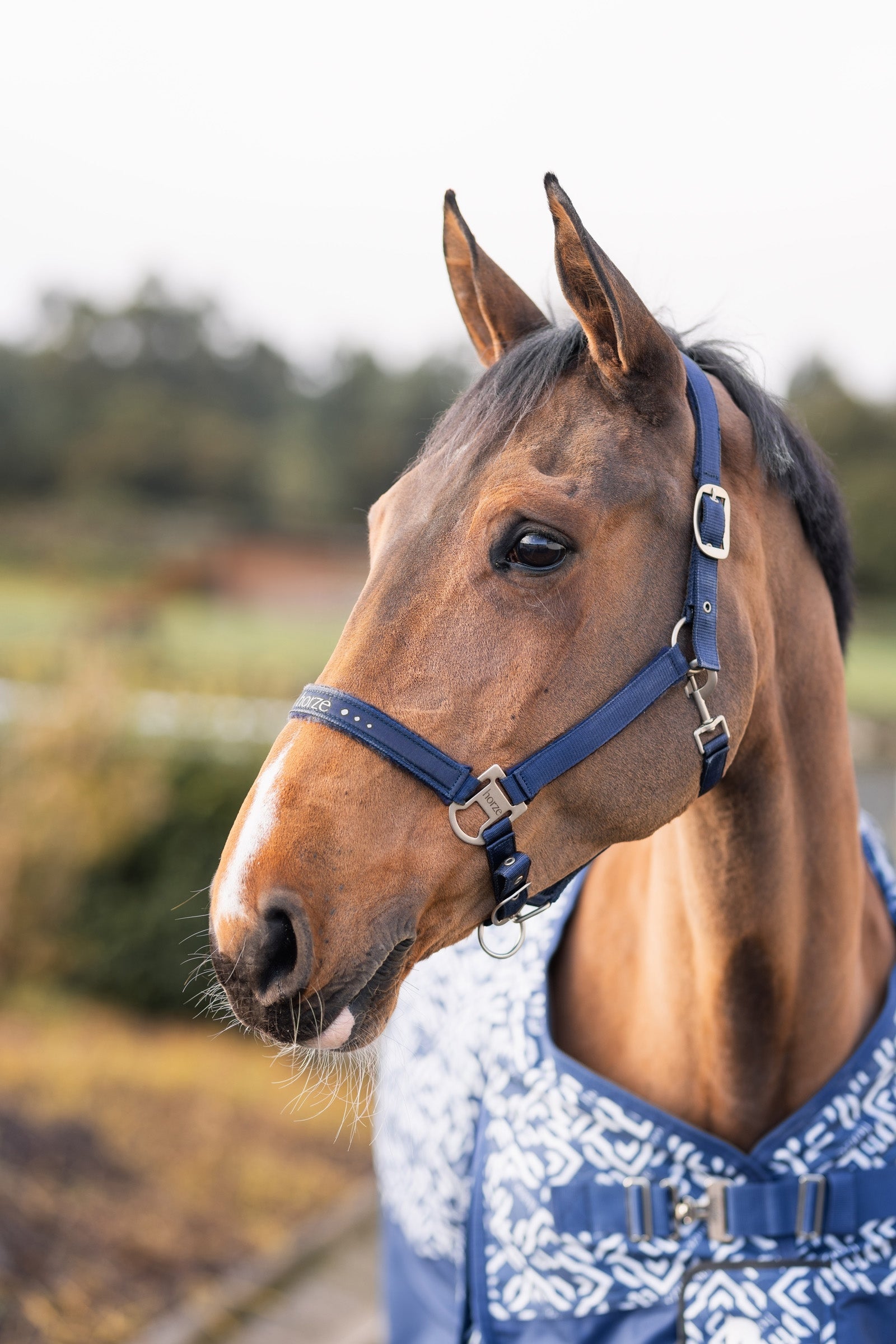 Horze Urban Vitality Halter Halters & Leads