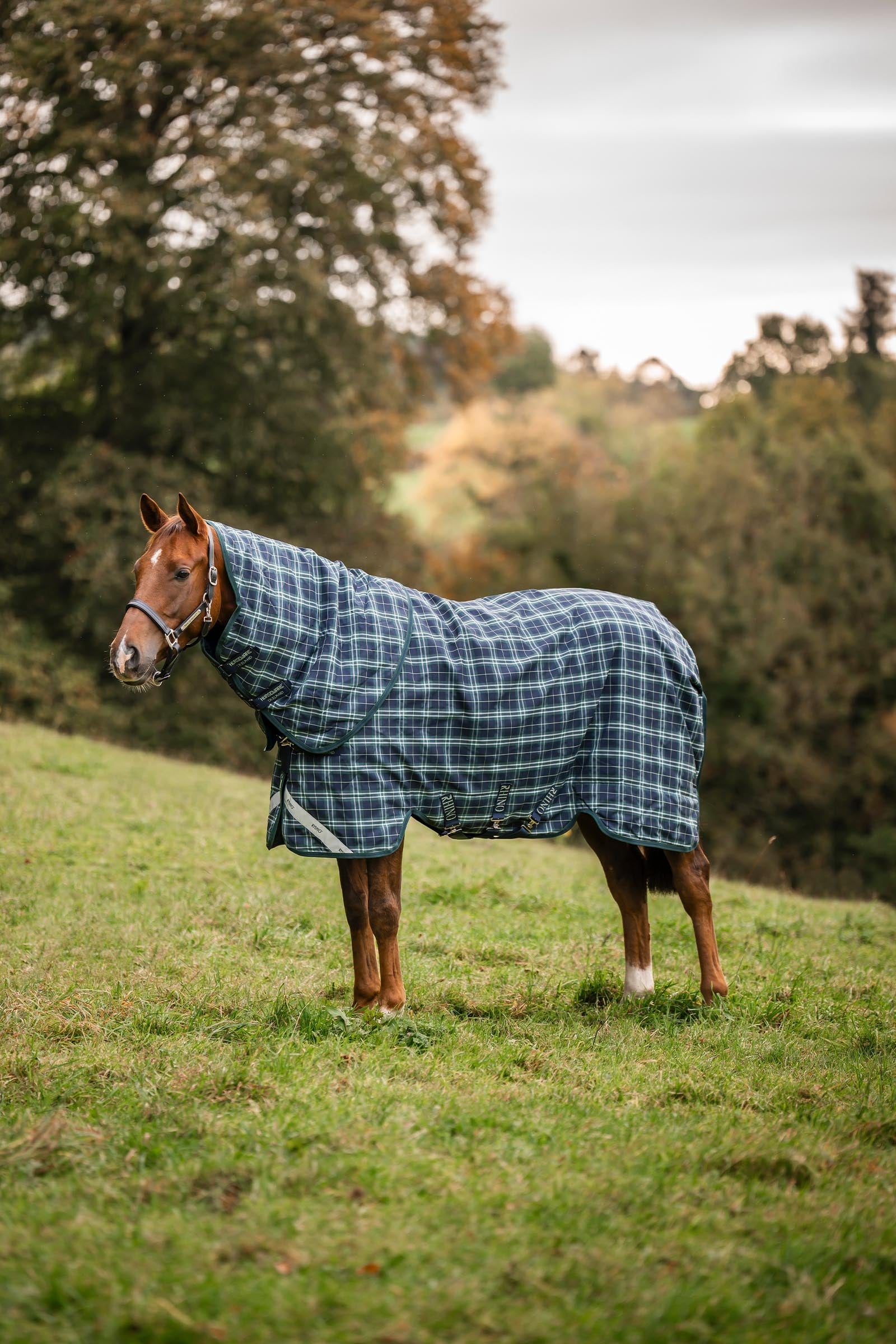 Horseware Rhino Plus Turnout Rug with Detachable Neck, 0g Horse Rugs