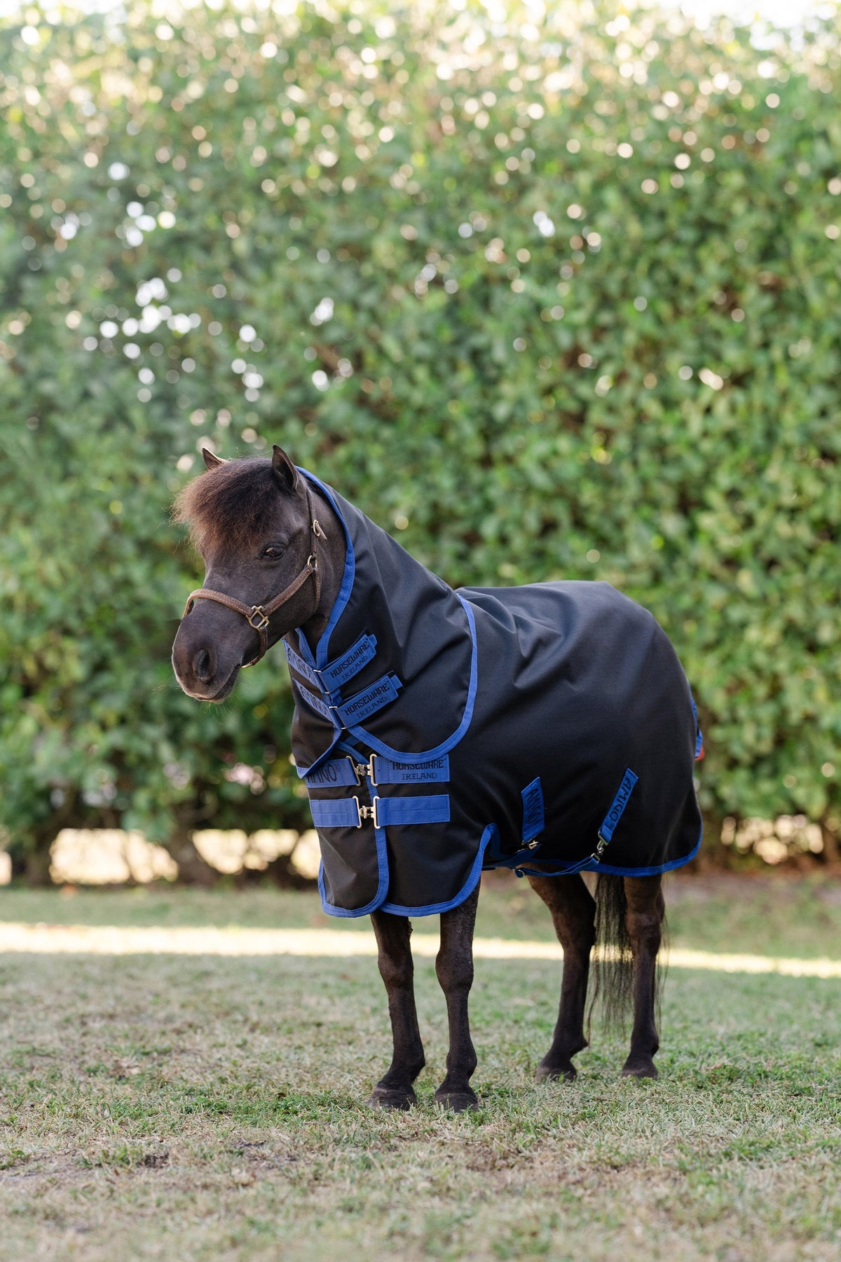 Horseware Amigo Ripstop 900D Plus Petite Weidedecke mit abnehmbarem Halsteil, 0 g Pferdedecken