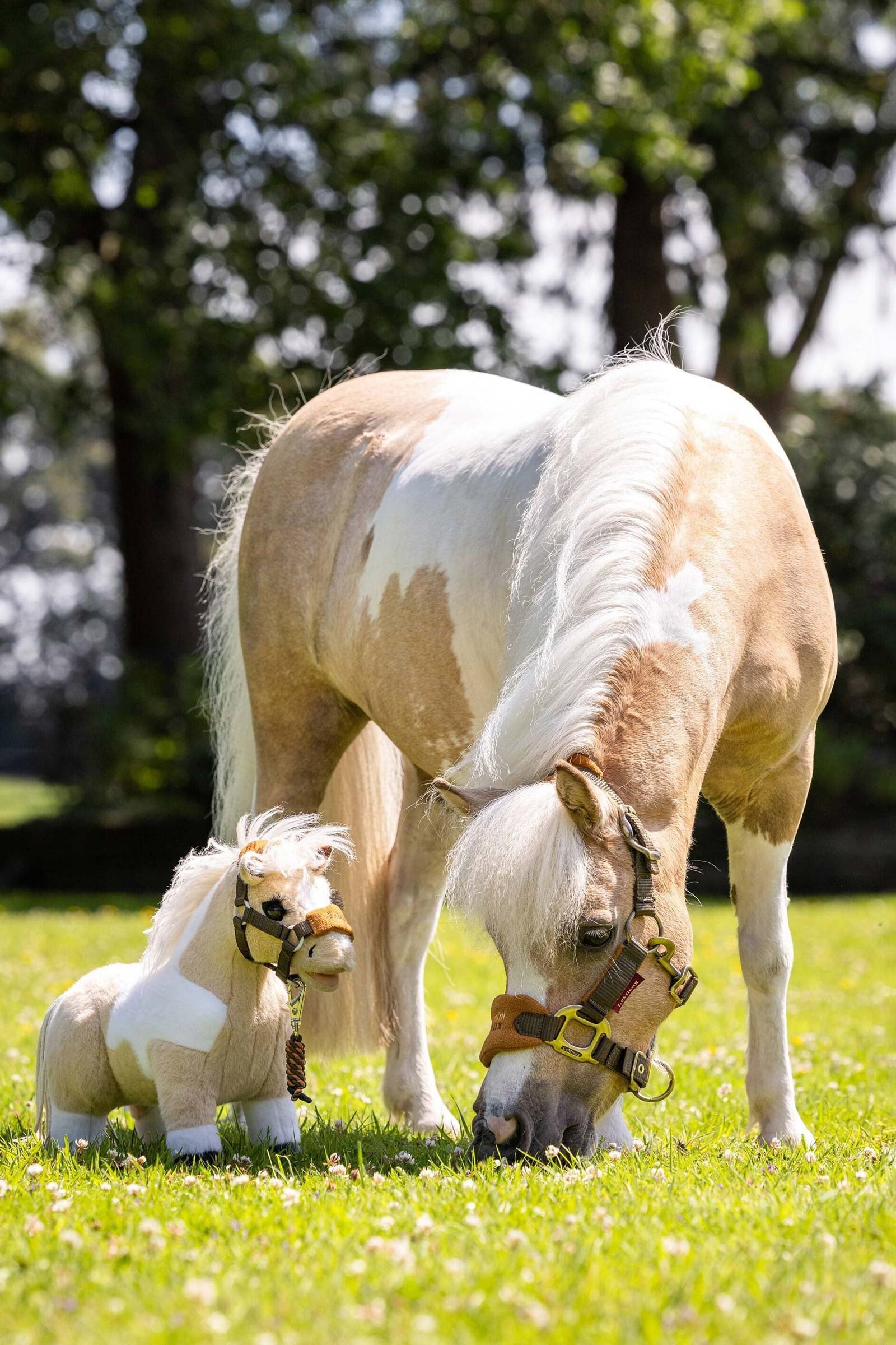 LeMieux Lemon Toy Pony  Gifts & Toys