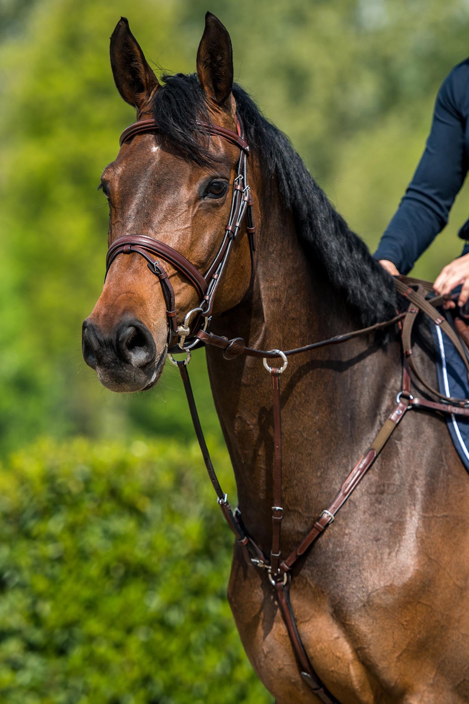 Trust Equestrian Calgary Combined Noseband Bridle Bridles & Reins