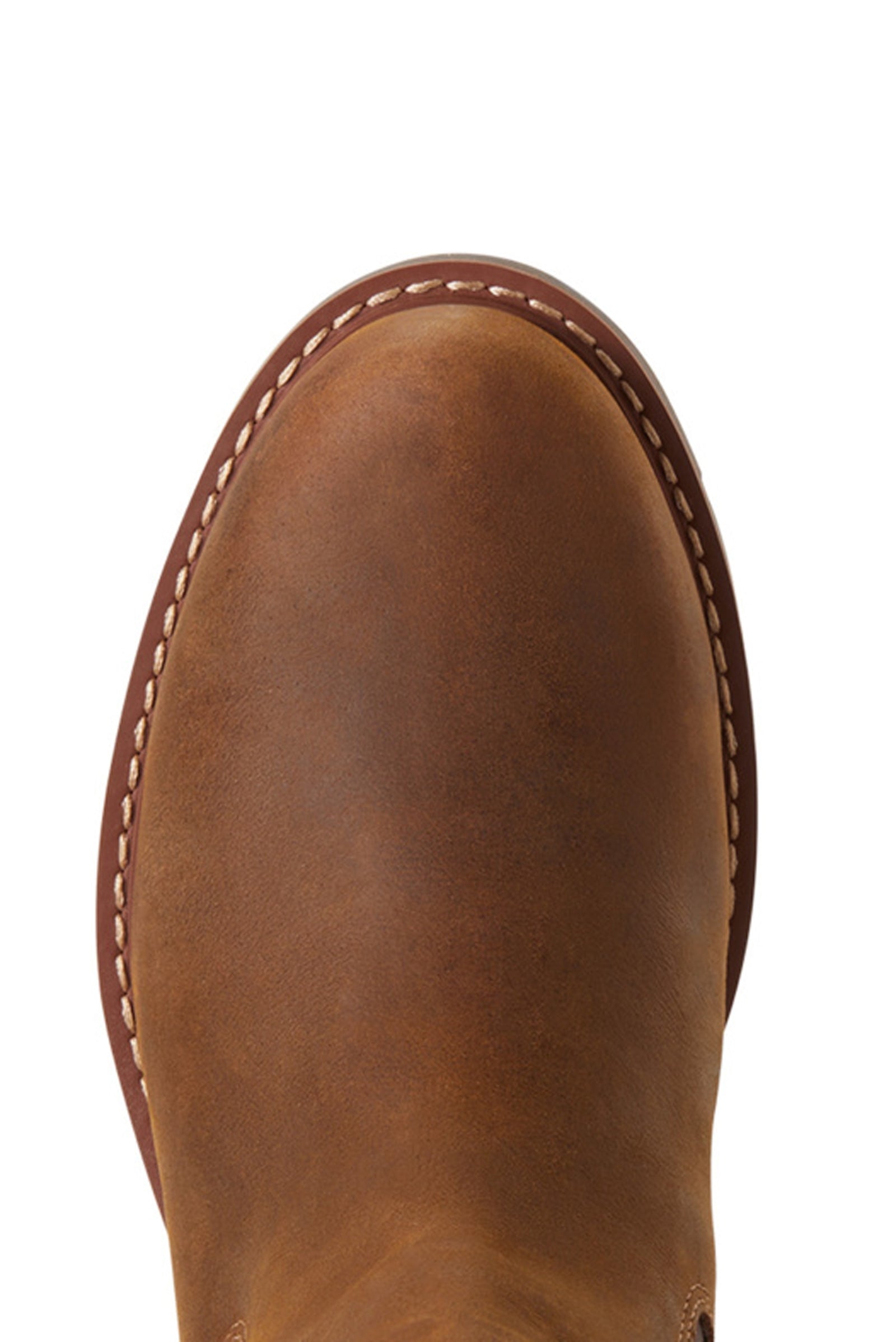 Ariat Women's Wexford Waterproof Boots Riding Boots & Riding Shoes