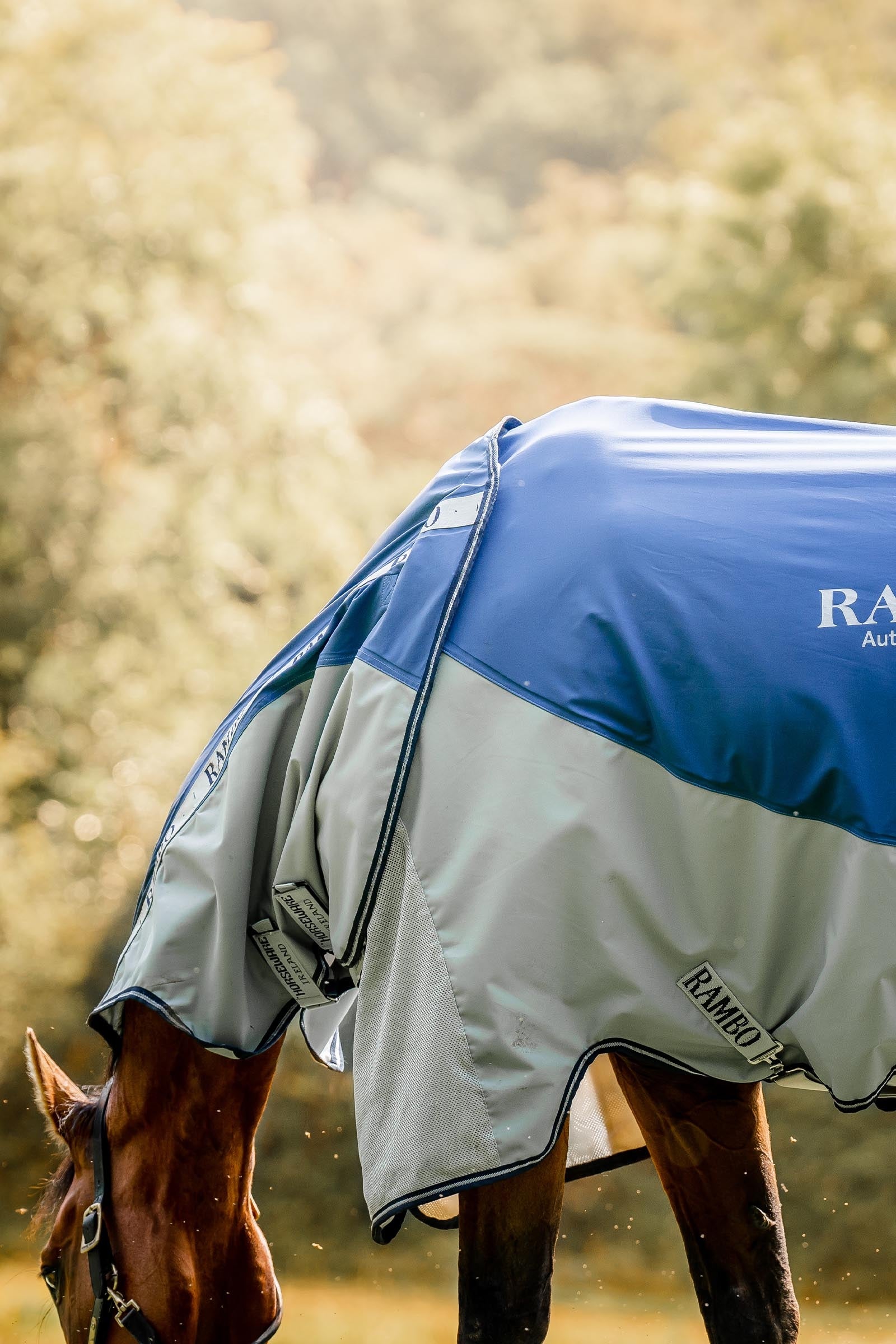 Horseware Rambo Autumn Series Turnout Rug With Liner (0g / 100g) Horse Rugs