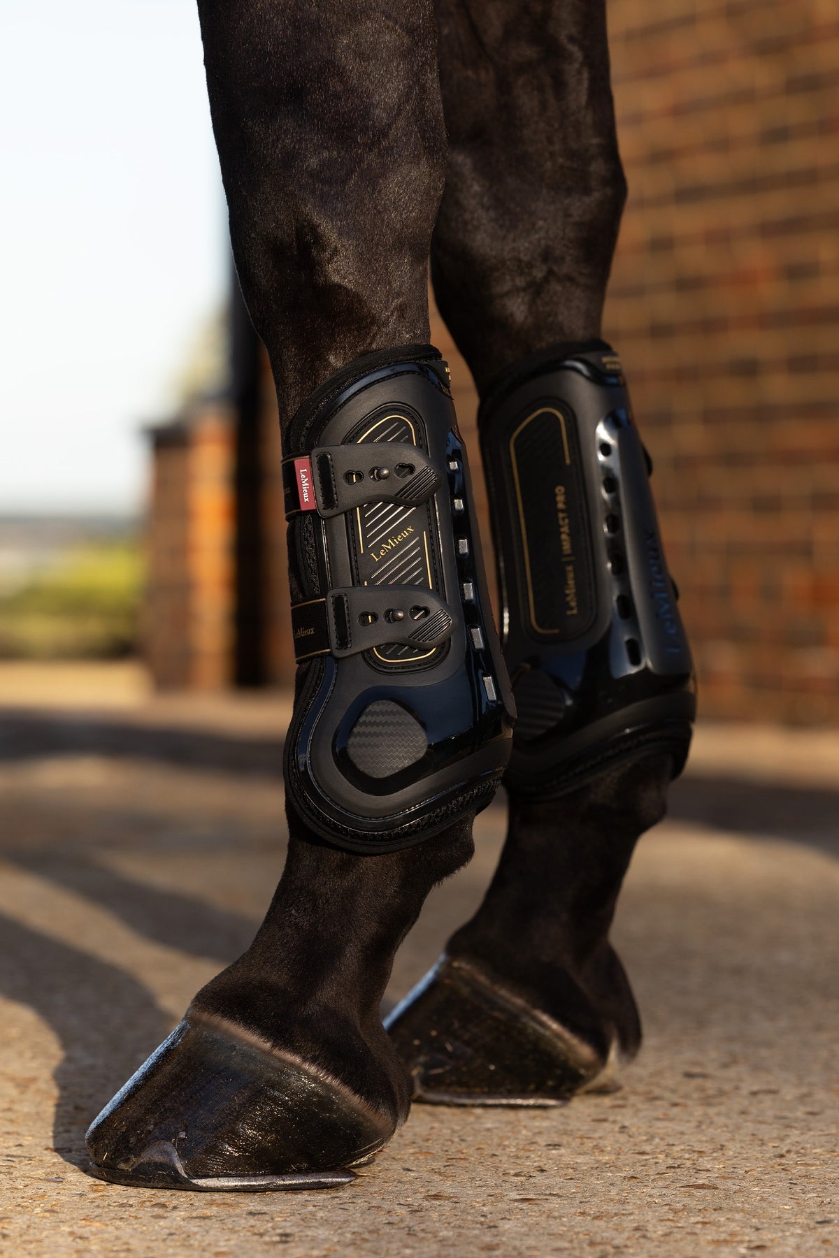 LeMieux Lemieux Impact Pro Tendon Boot Leg & Hoof Protection