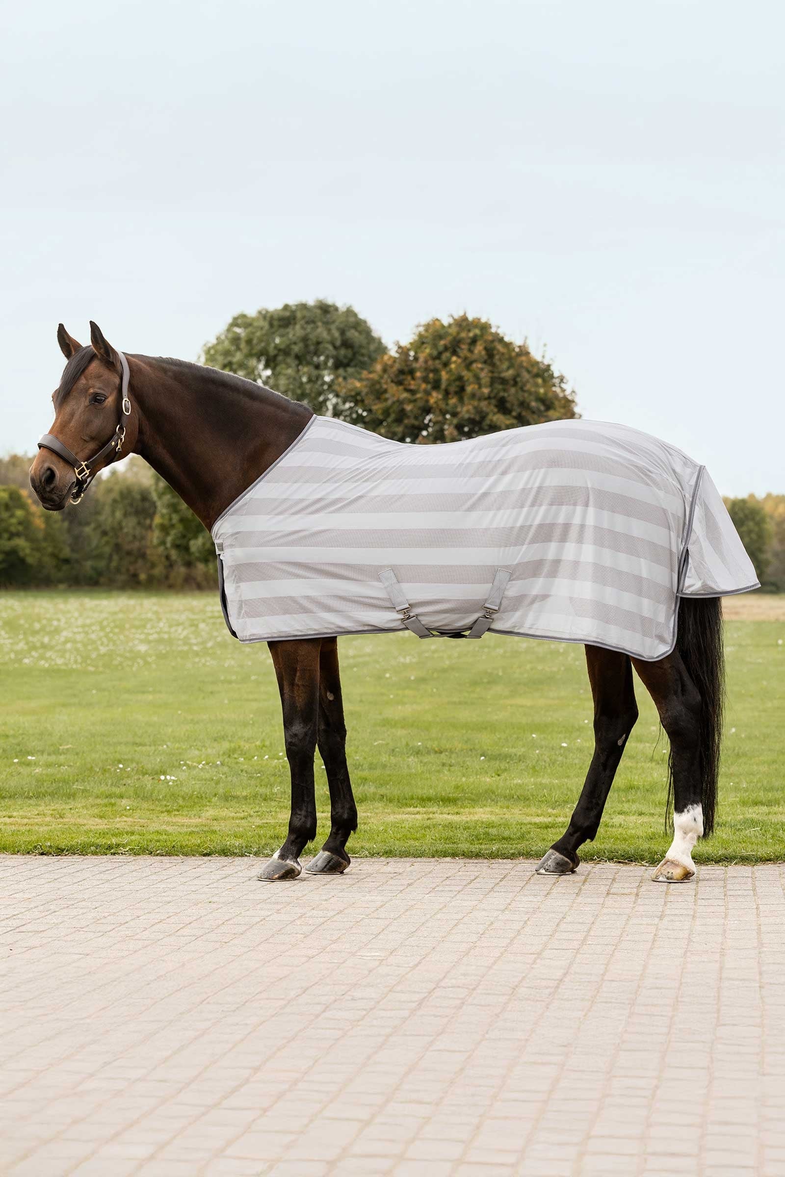 Waldhausen Economic Fly Rug Horse Rugs