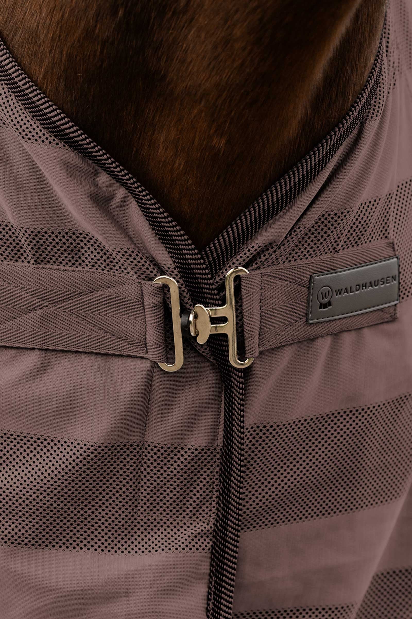 Waldhausen Economic Fly Rug Horse Rugs