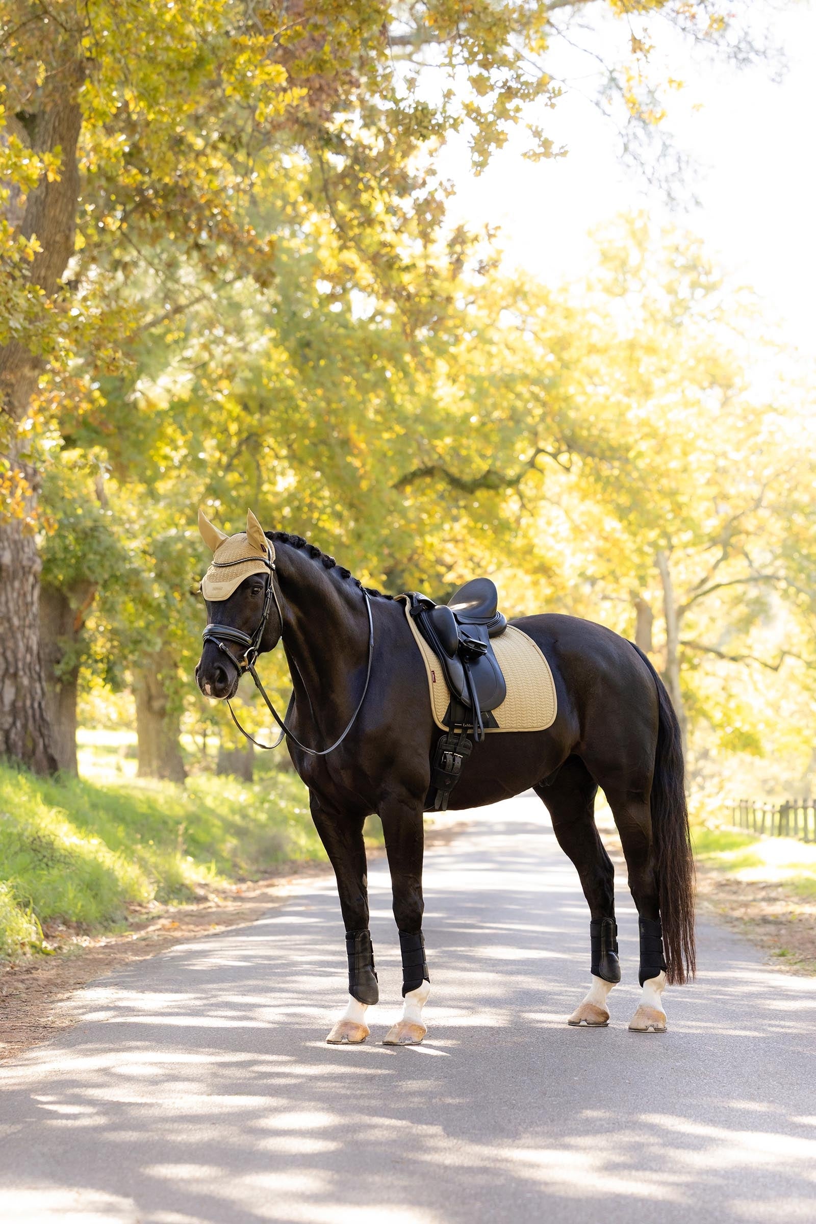 LeMieux Essence Dressage Saddle Pad Saddle Pads