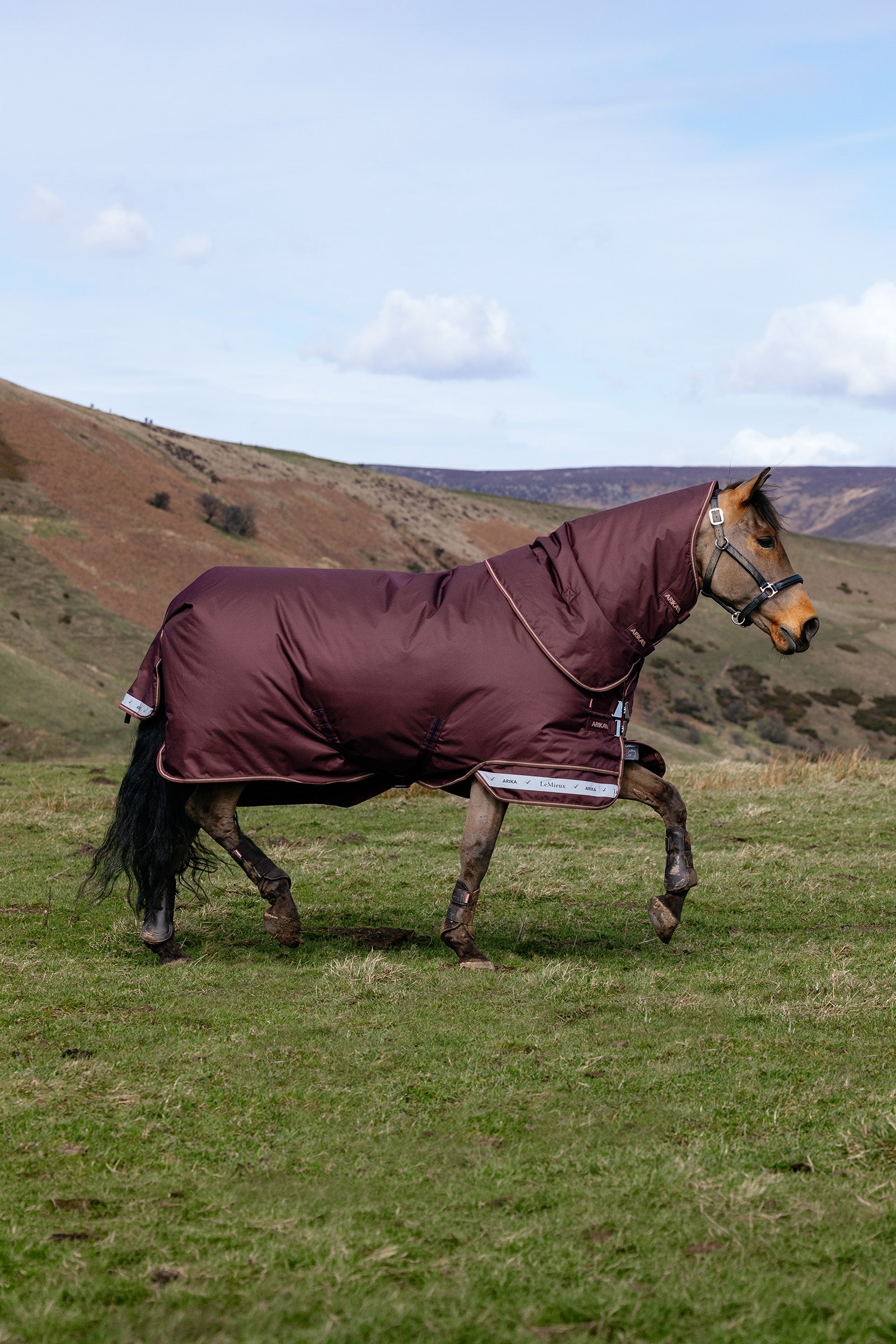 LeMieux Arika Ripstop Turnout Rug With Detachable Neck, 0 g Horse Rugs