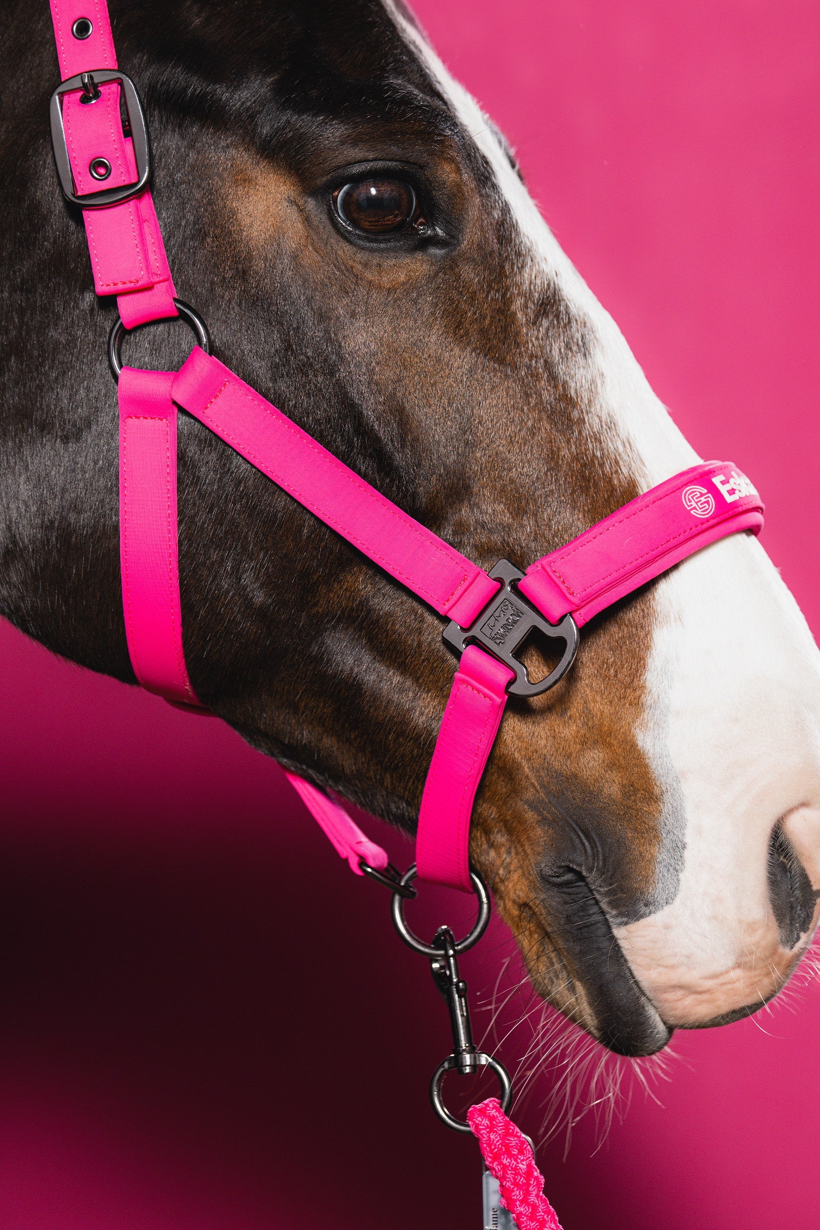 Eskadron Dynamic AW26 Softshell Double PIN Headcollar Halters & Leads