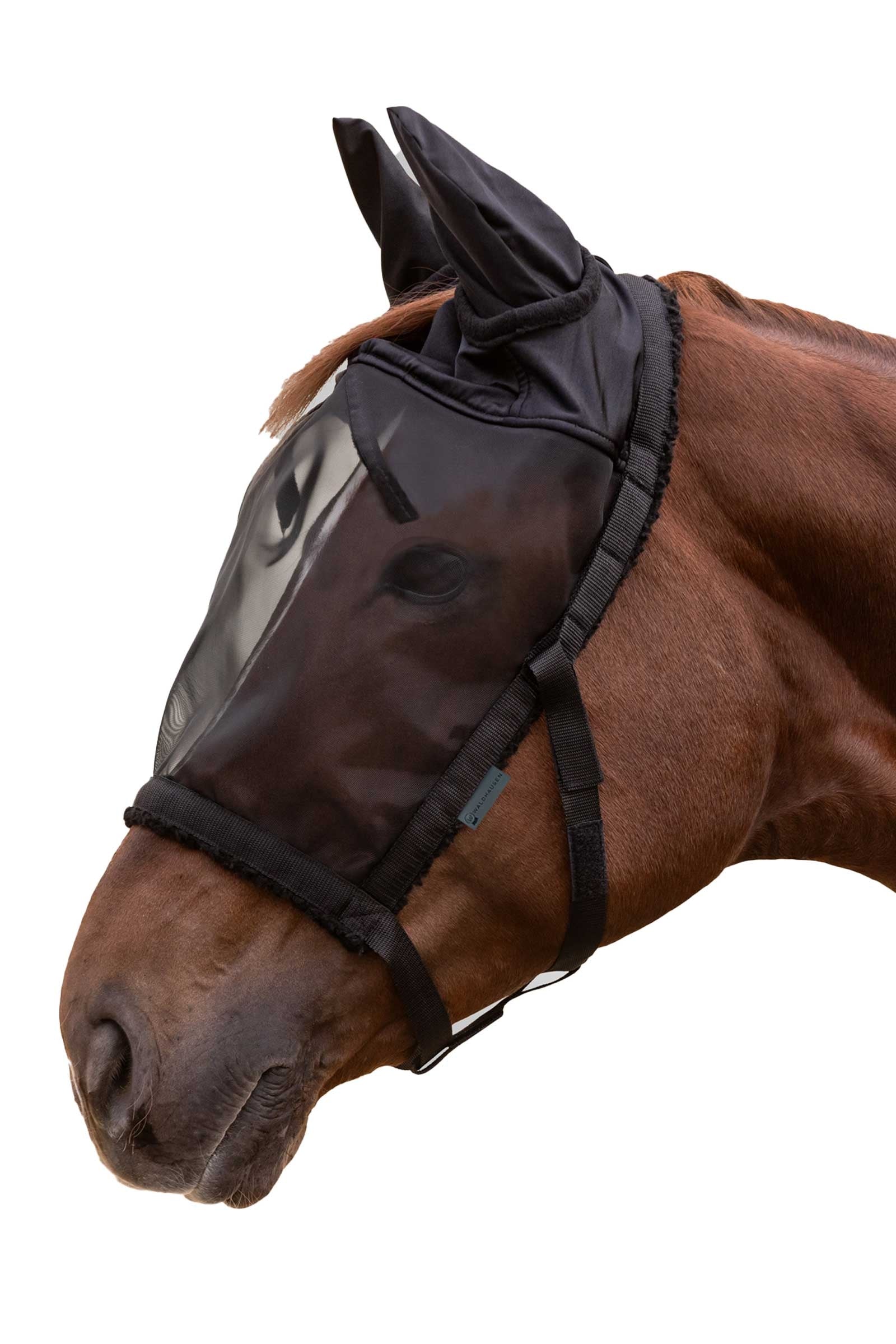 Waldhausen Grazing Halter With Fly Mask Antifly Protection for Horses