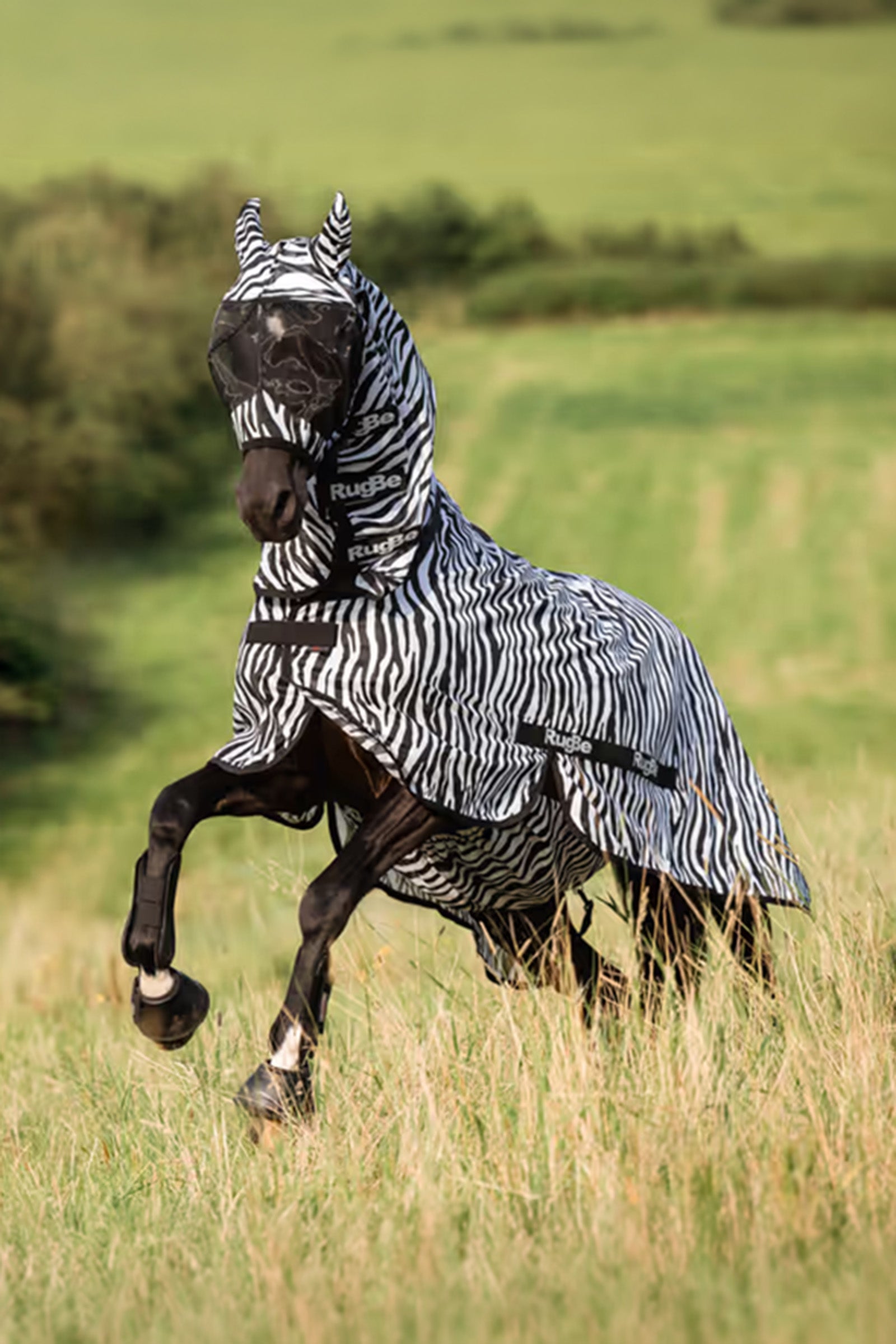 Covalliero RugBe Zebra Fly Sheet With Tail Flap Horse Rugs