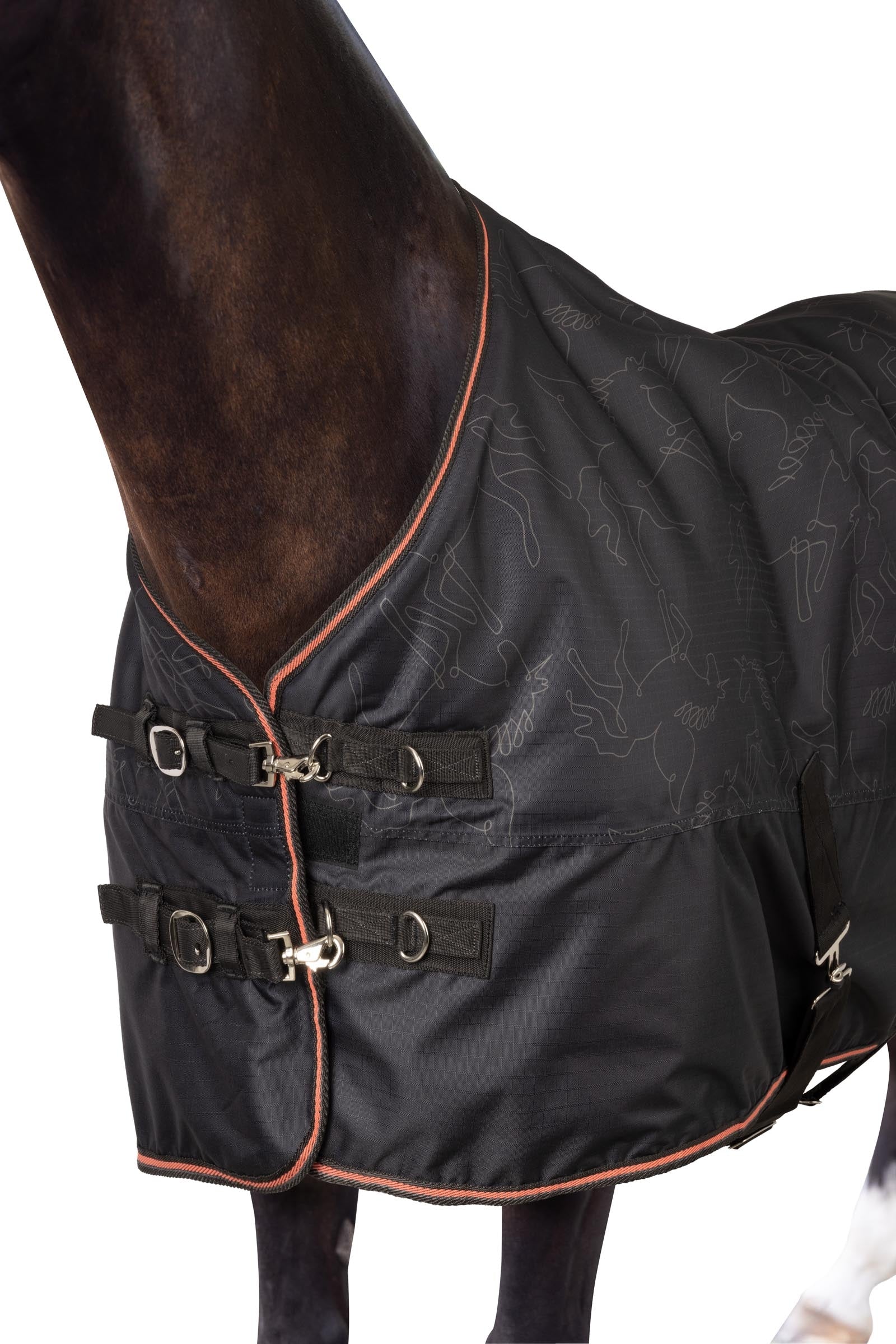 Horze Pegasus Pony turnout 200gsm Horse Rugs