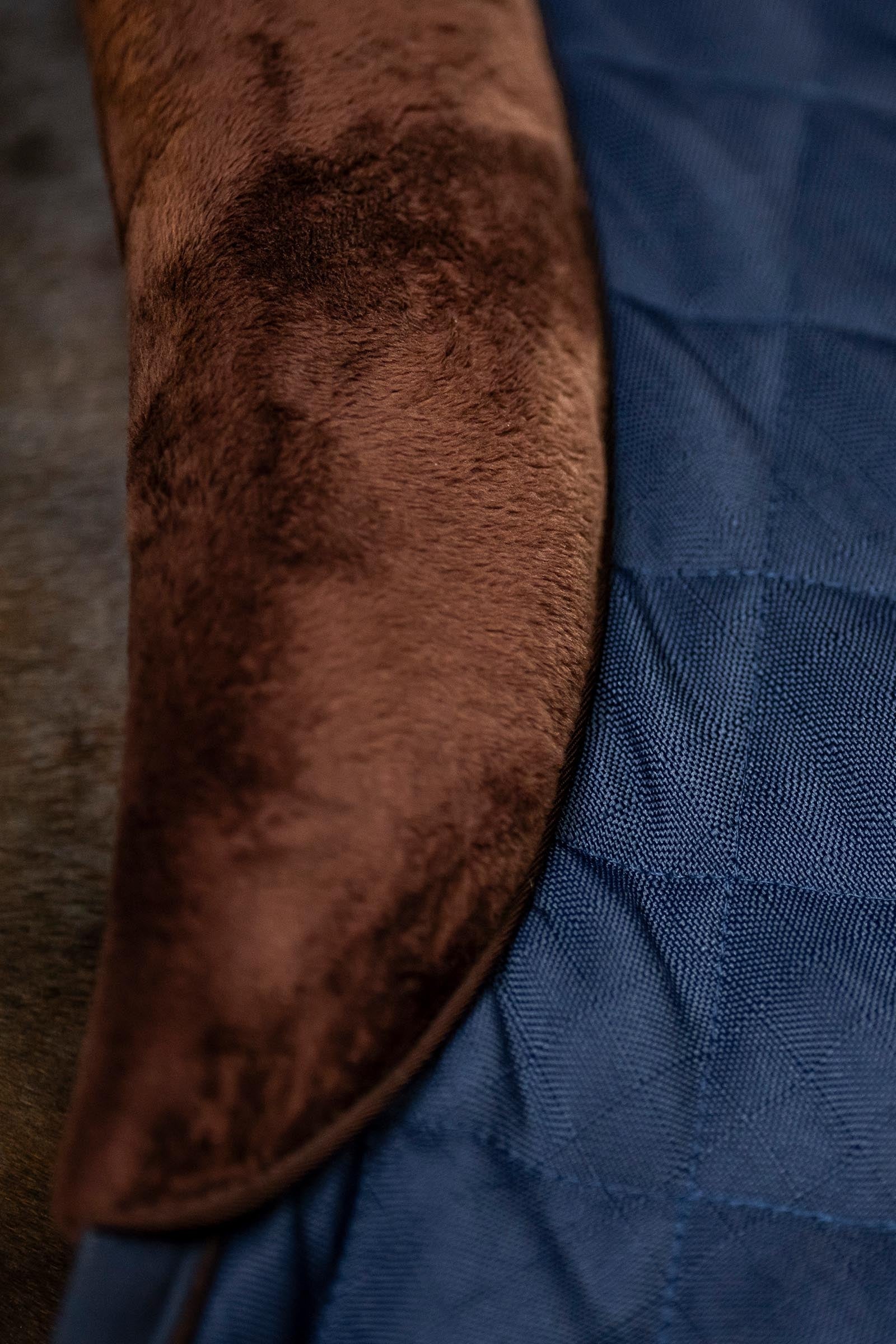 Horseware Signature Stable, 200g Horse Rugs